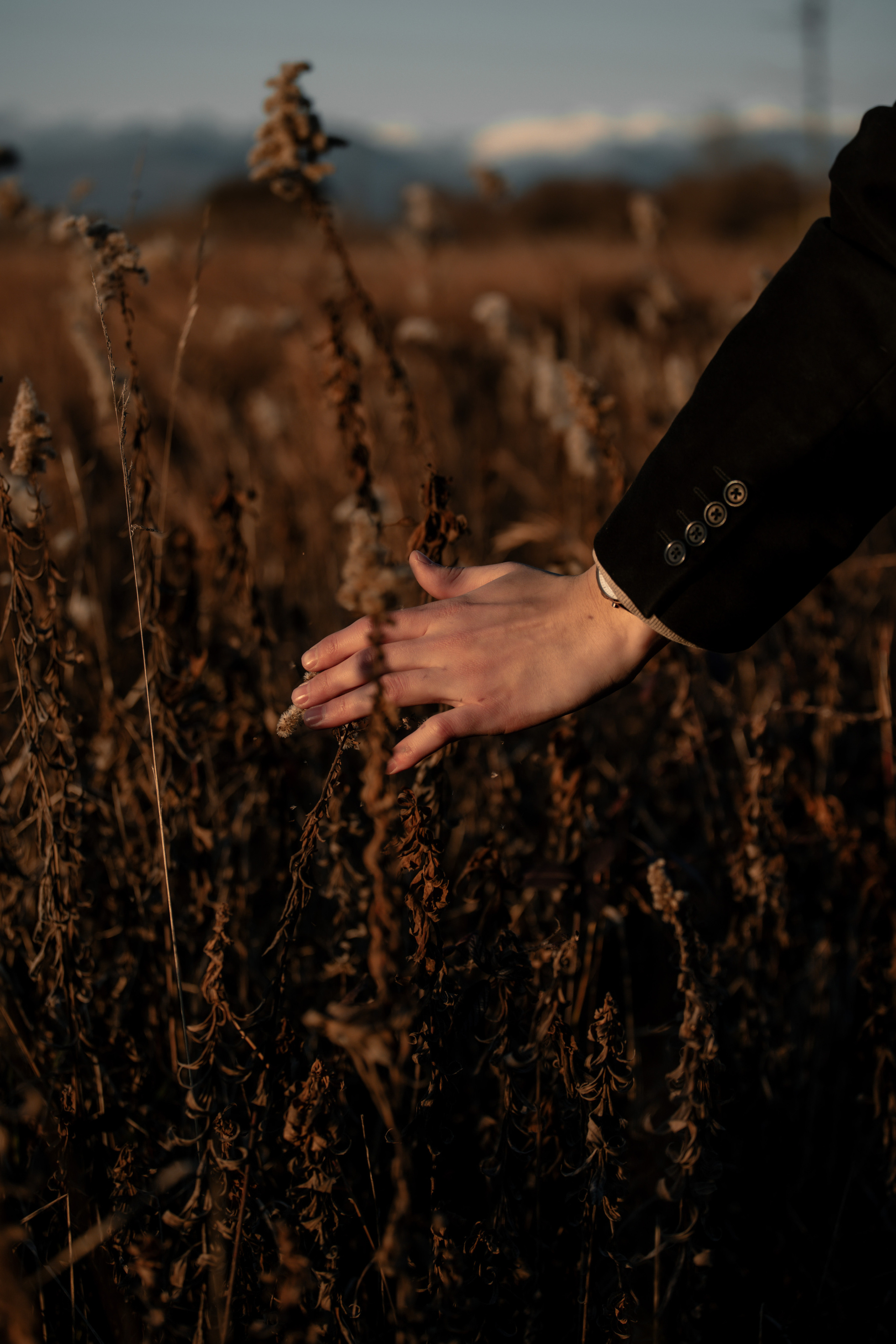 Поля с кириллом. Фотограф в Санкт-Петербурге и Москве Макс Спектор