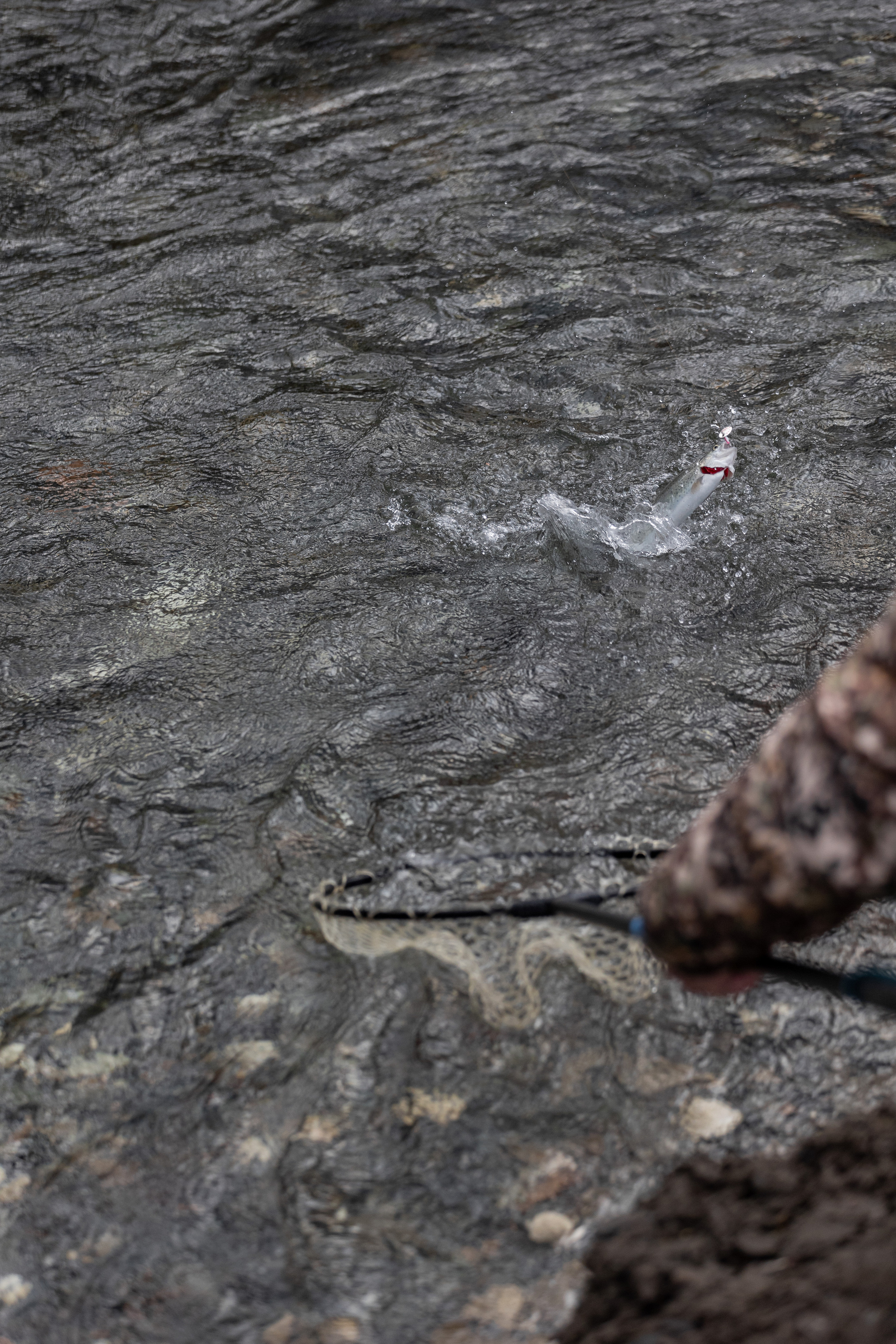 Fishing. Photographer in Saint-Petersburg and Moscow Max Spector