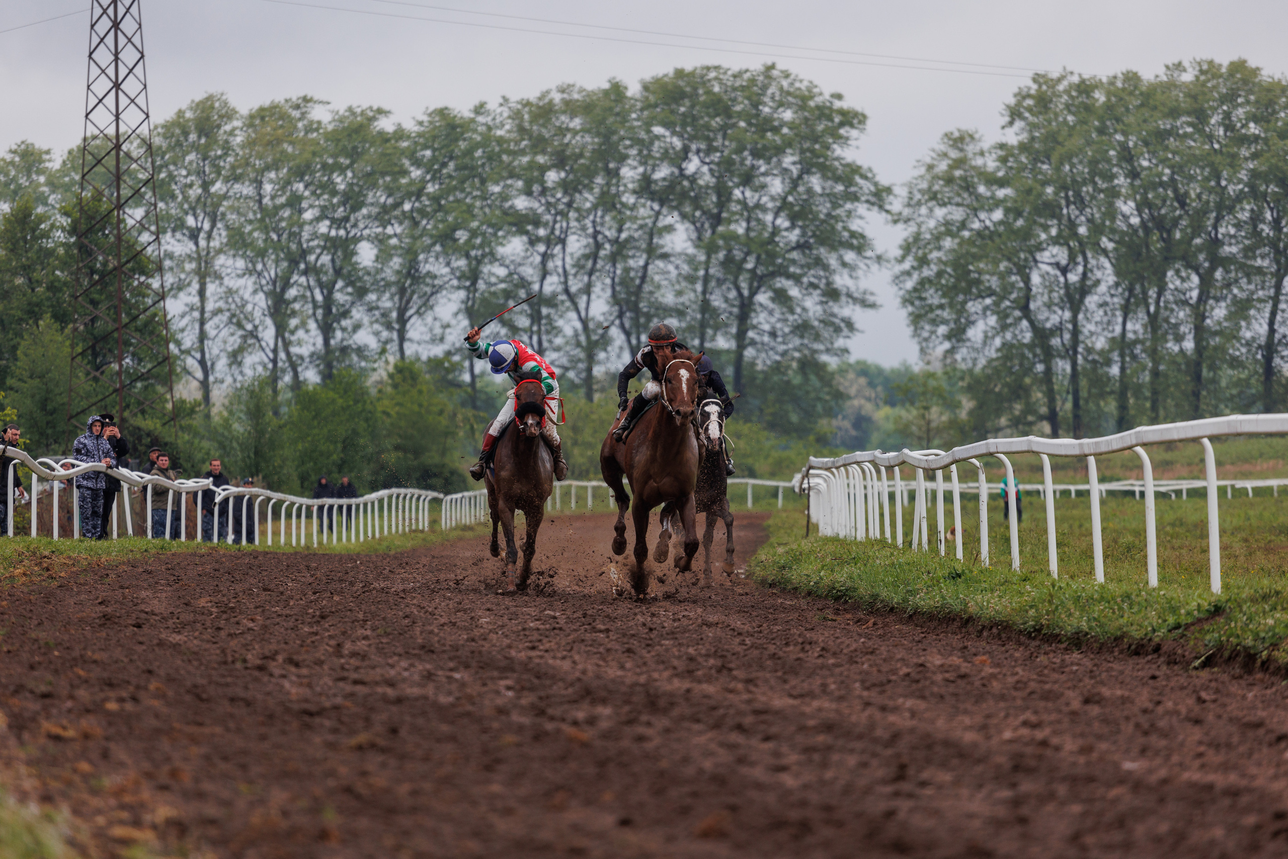 Horse racing. Photographer in Saint-Petersburg and Moscow Max Spector