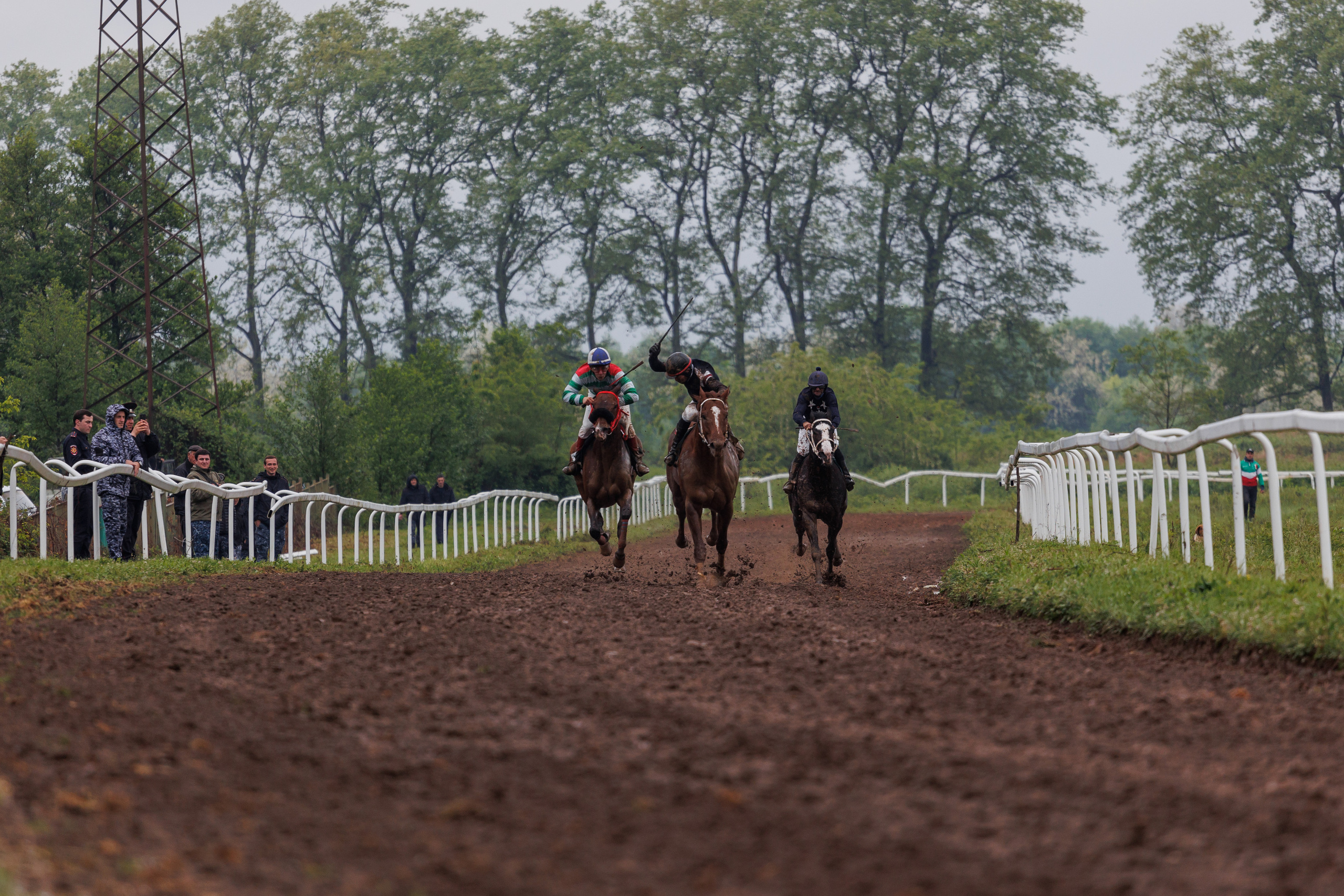 Horse racing. Photographer in Saint-Petersburg and Moscow Max Spector