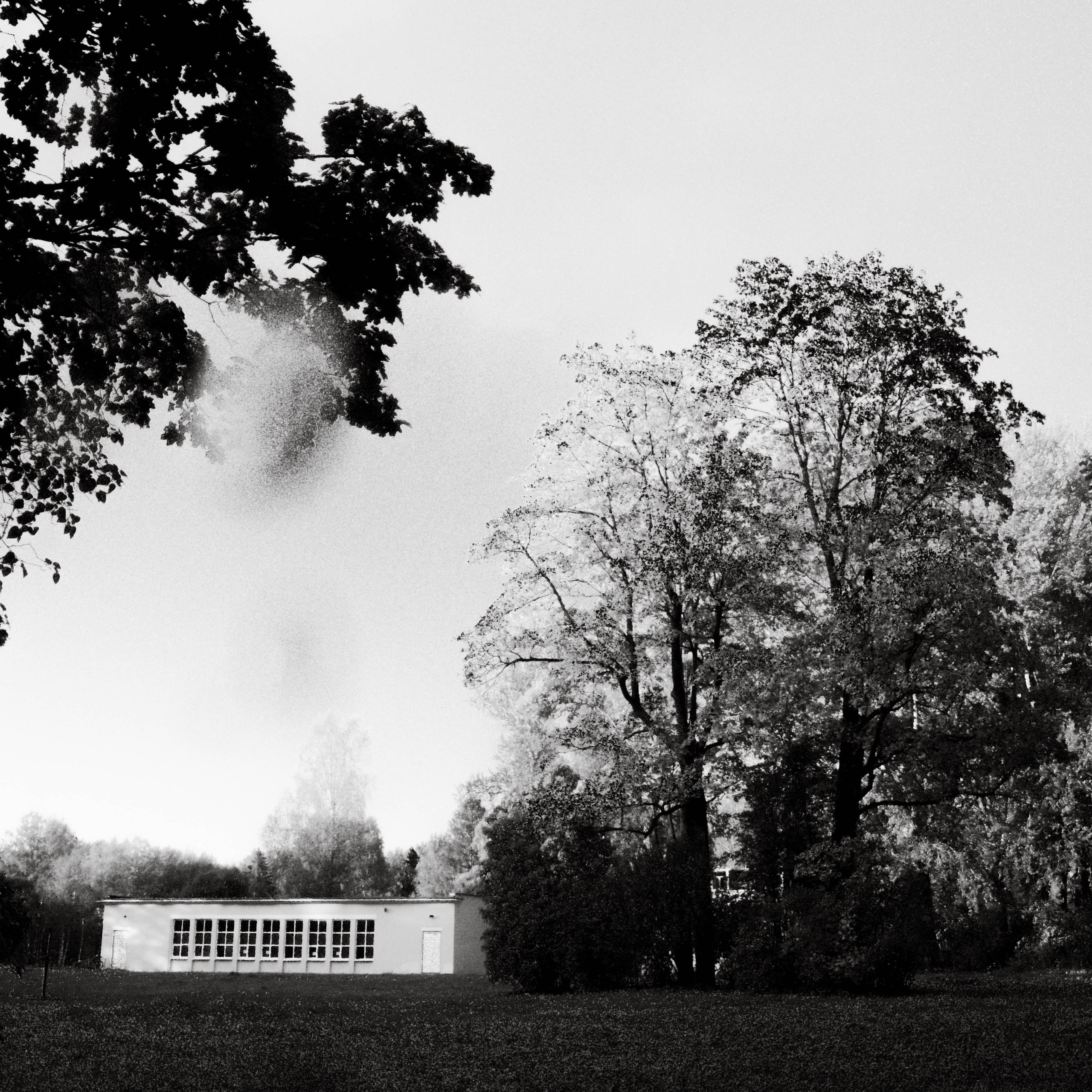 Pavlovsk. Shyjungle's Portfolio