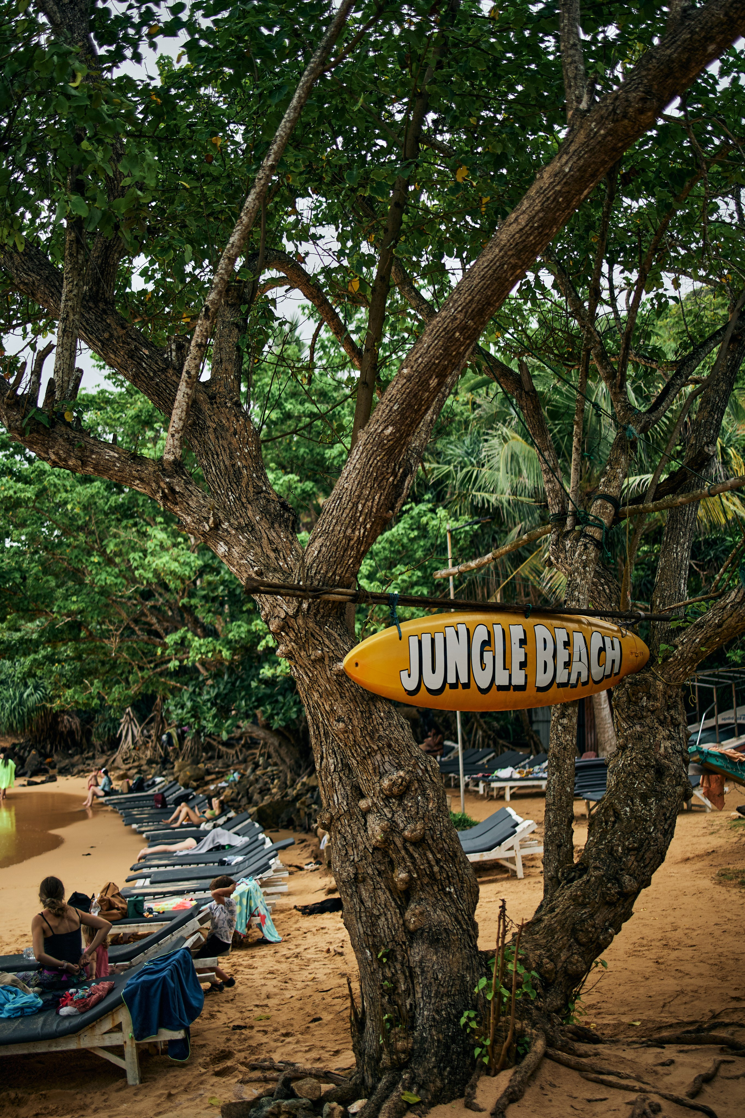 Шри-Ланка. Хороший репортажный и промышленный фотограф в Казани Алексей Щелконогов