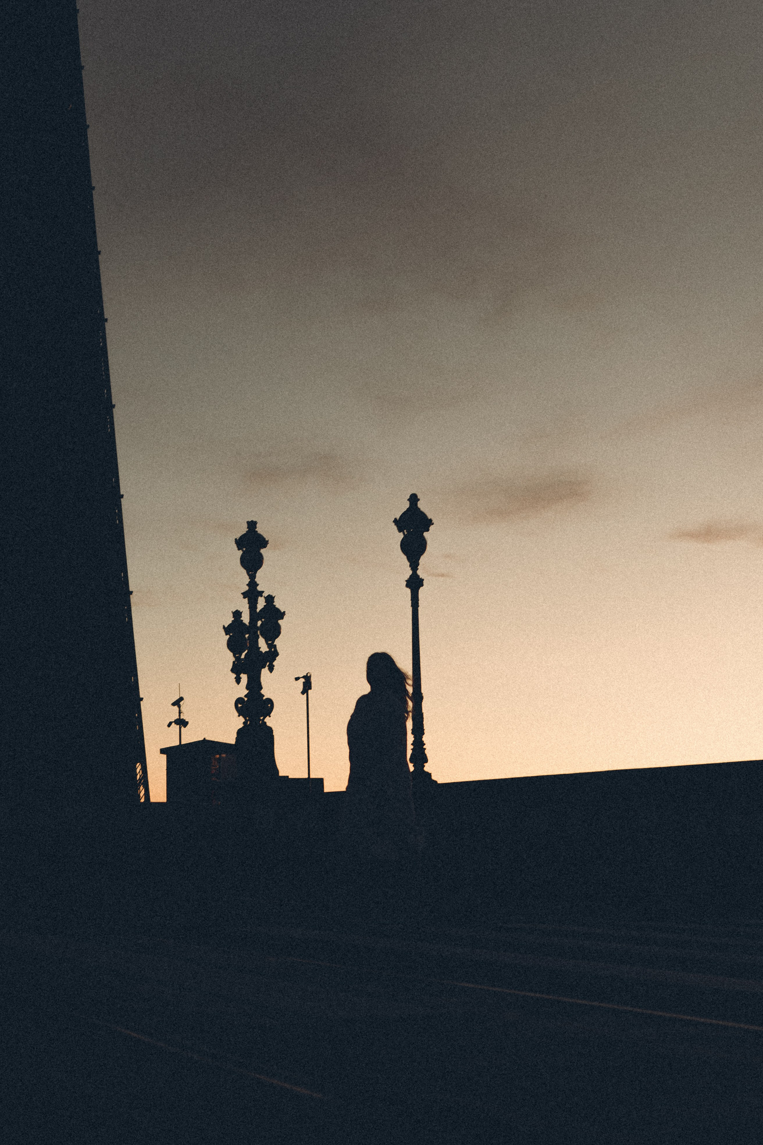 РАССВЕТ С РАЗВОДНЫМИ МОСТАМИ. Профессиональный фотограф, Санкт-Петербург — Виктория Богомолова