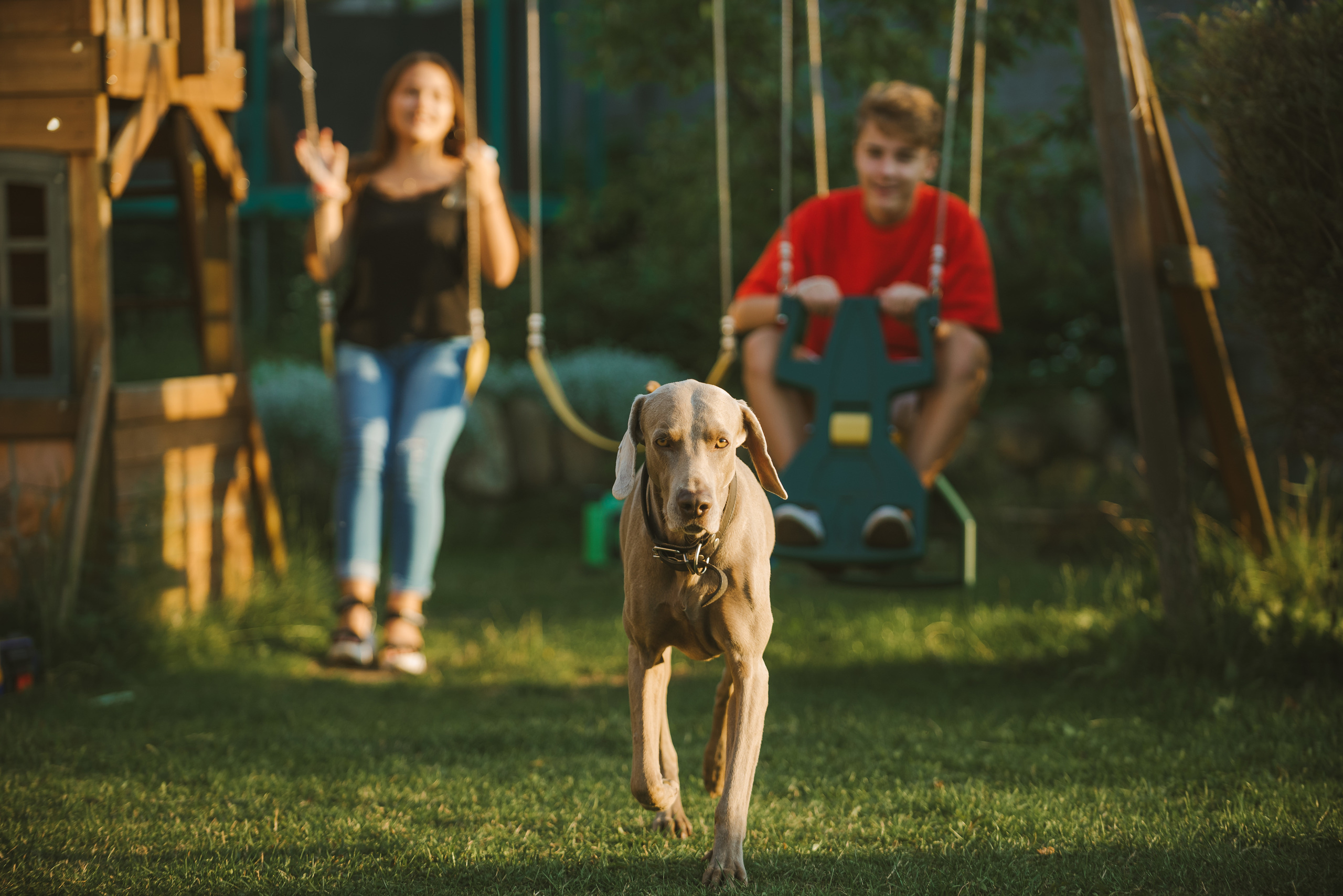 Happy birthday A. Репортажный фотограф в Санкт-Петербурге Алексеева Дарья