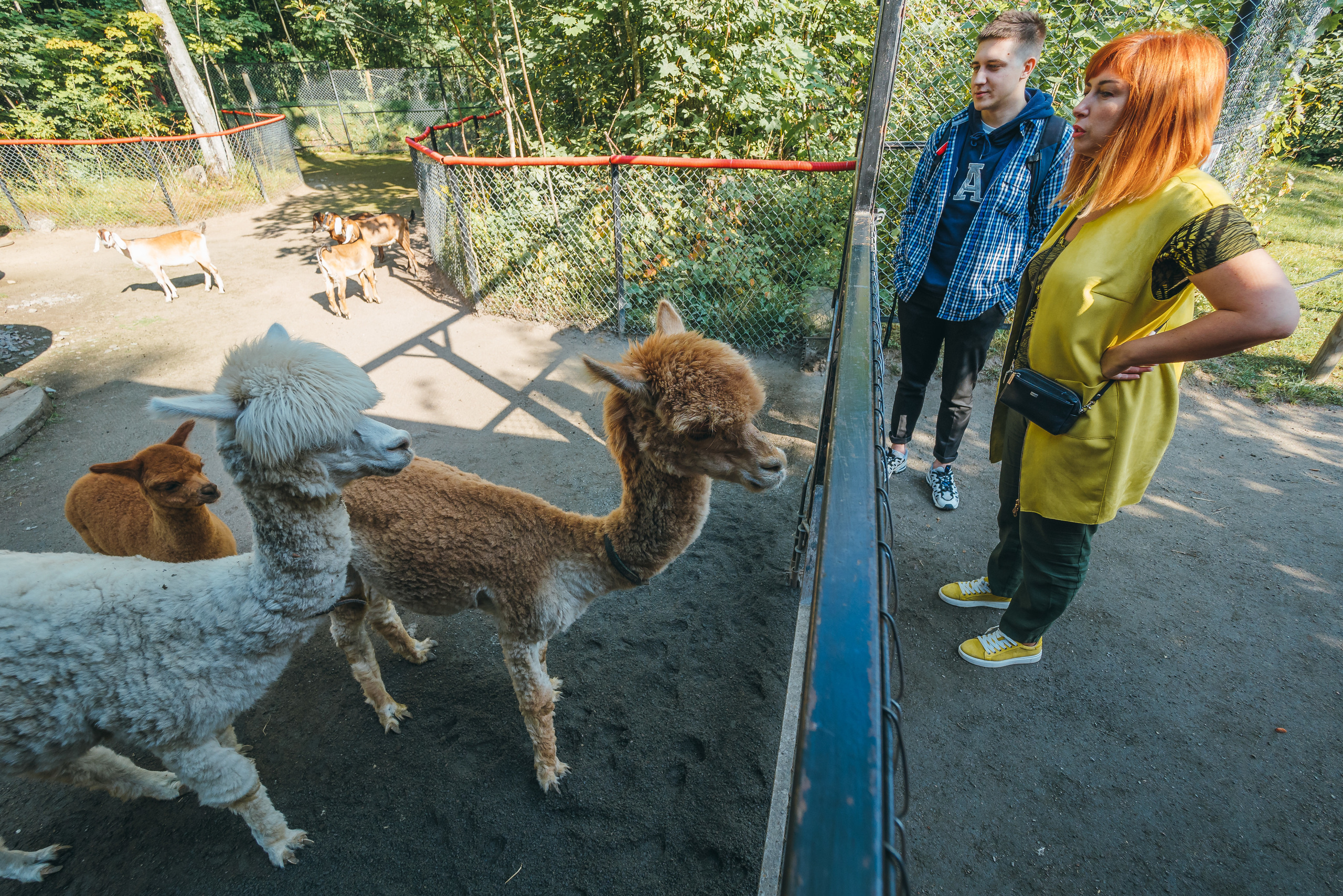 Happy birthday M. Репортажный фотограф в Санкт-Петербурге Алексеева Дарья