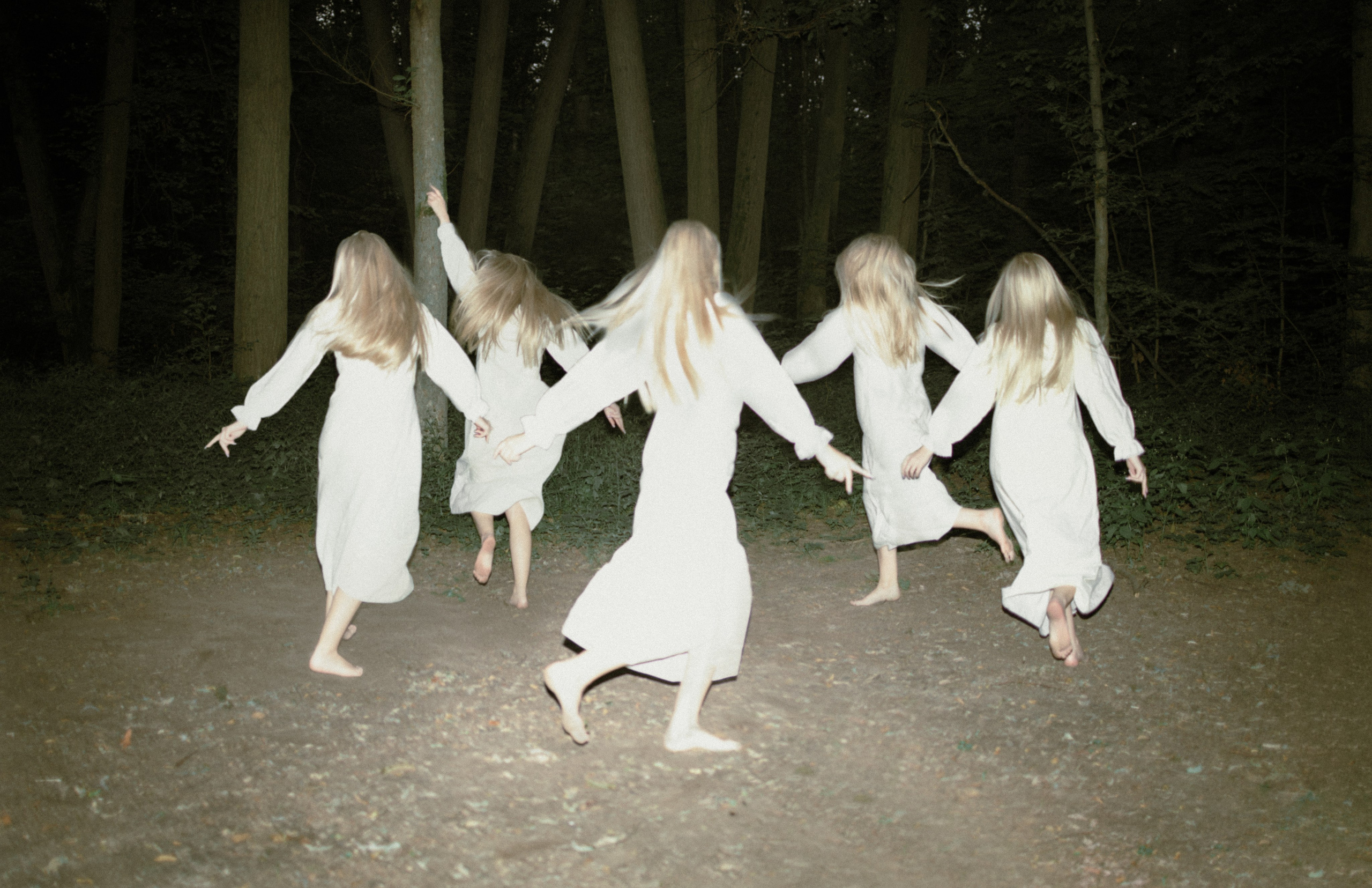 Woodland. Фото-художник