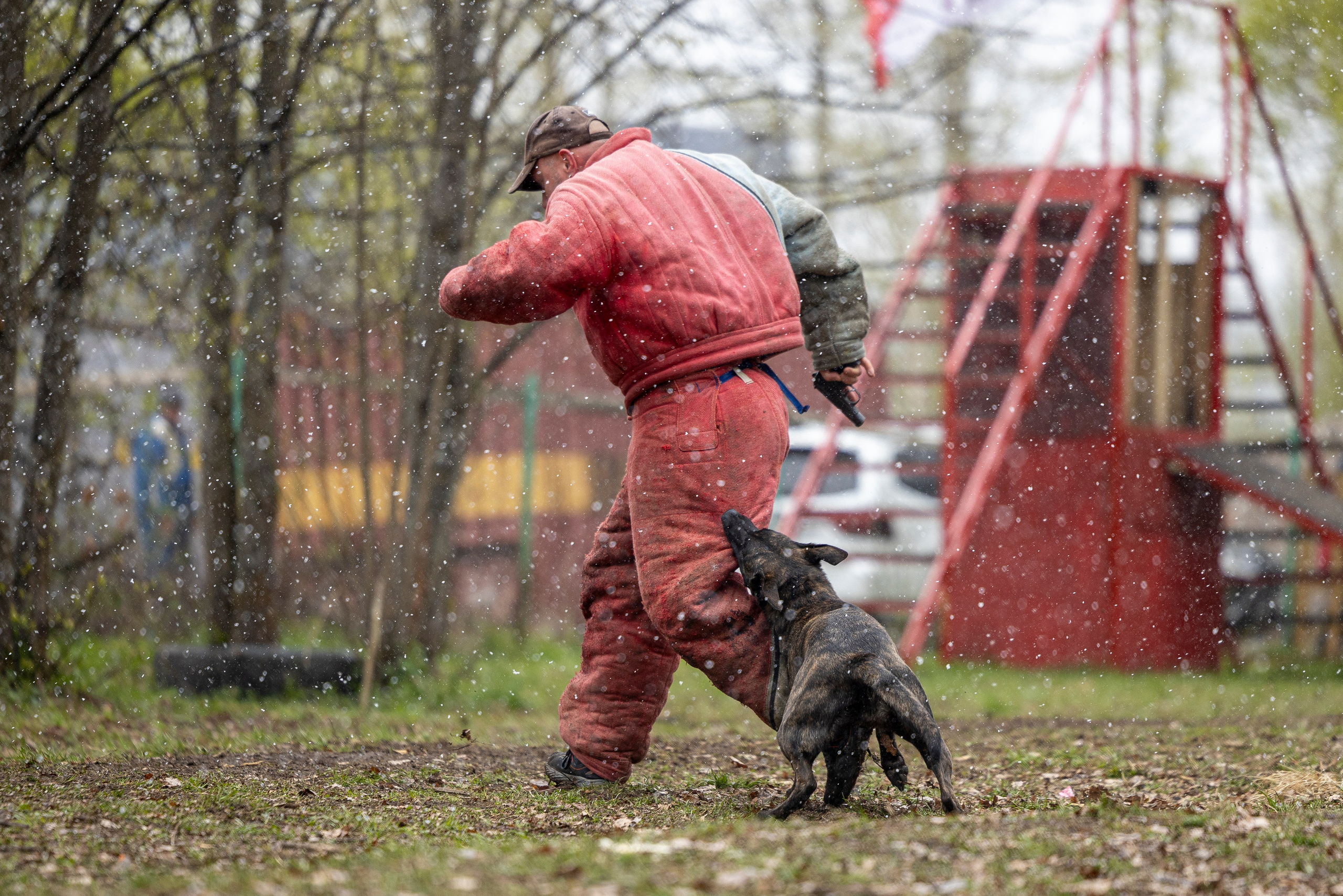 Квалификационные состязания по мондьорингу г. Вологда 11.05.24. Фотограф-анималист Анна Маринич