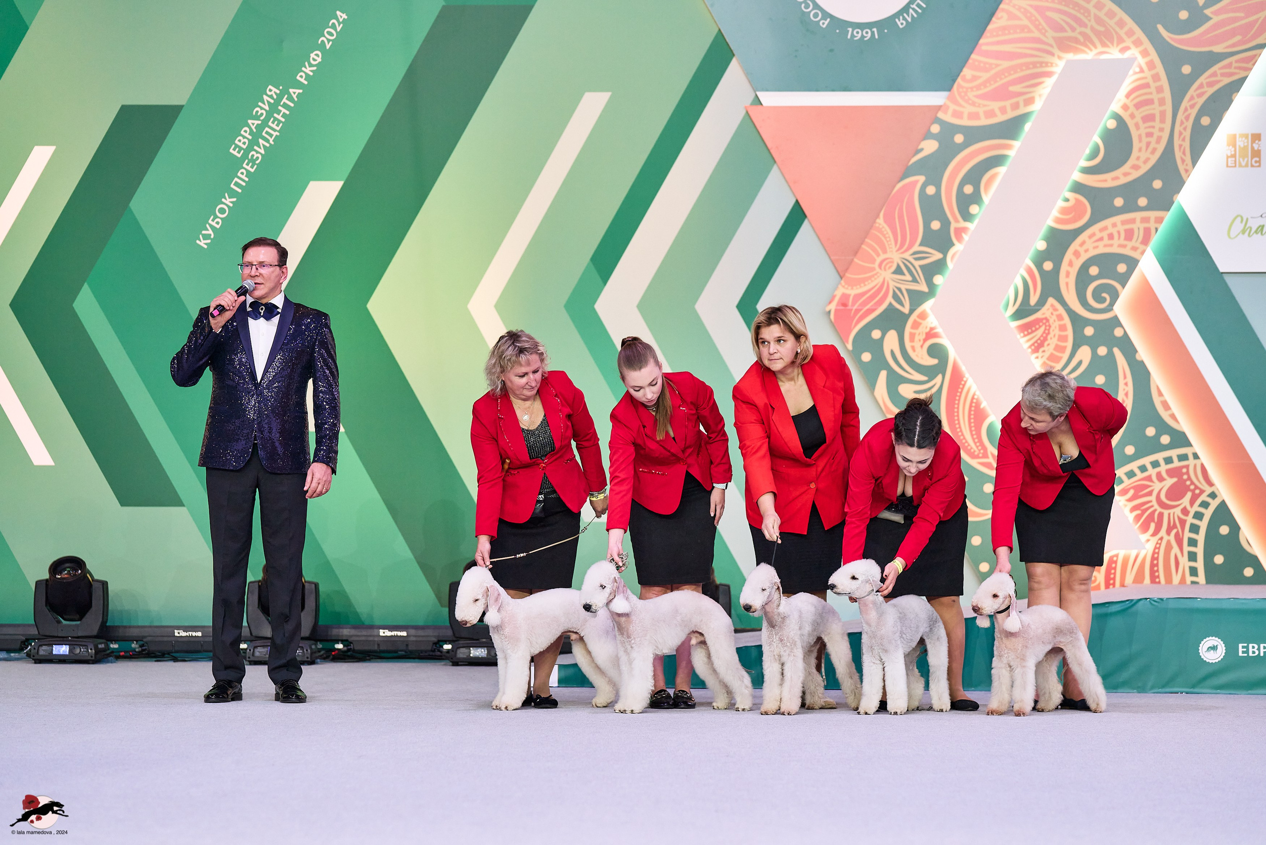 17.11.2024 «ЕВРАЗИЯ. КУБОК СНГ 2024»