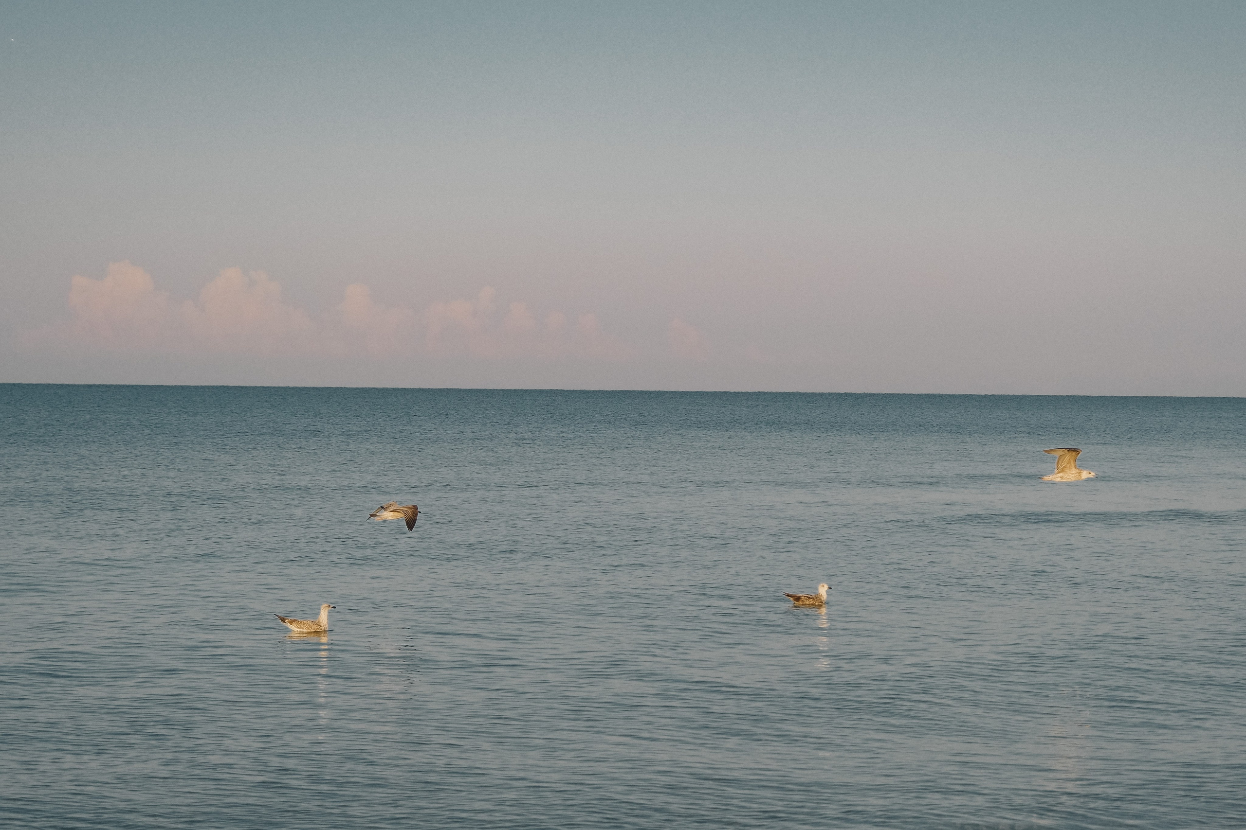 Рекламная съемка Дюны золотые. Профессиональный фотограф Иван Низиенко