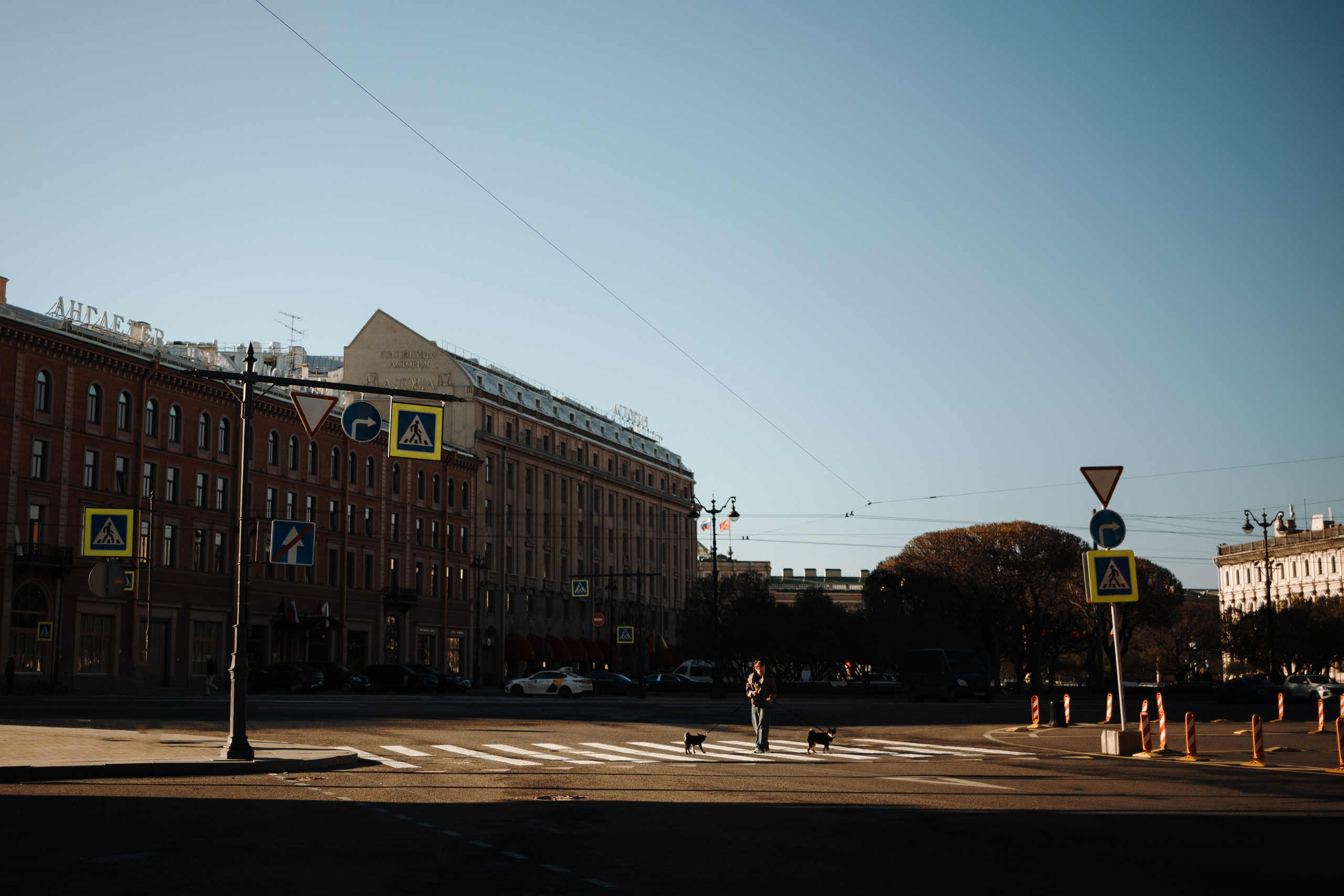 Даша и ее девочки. Фотограф — Анималист | Санкт-Петербург
