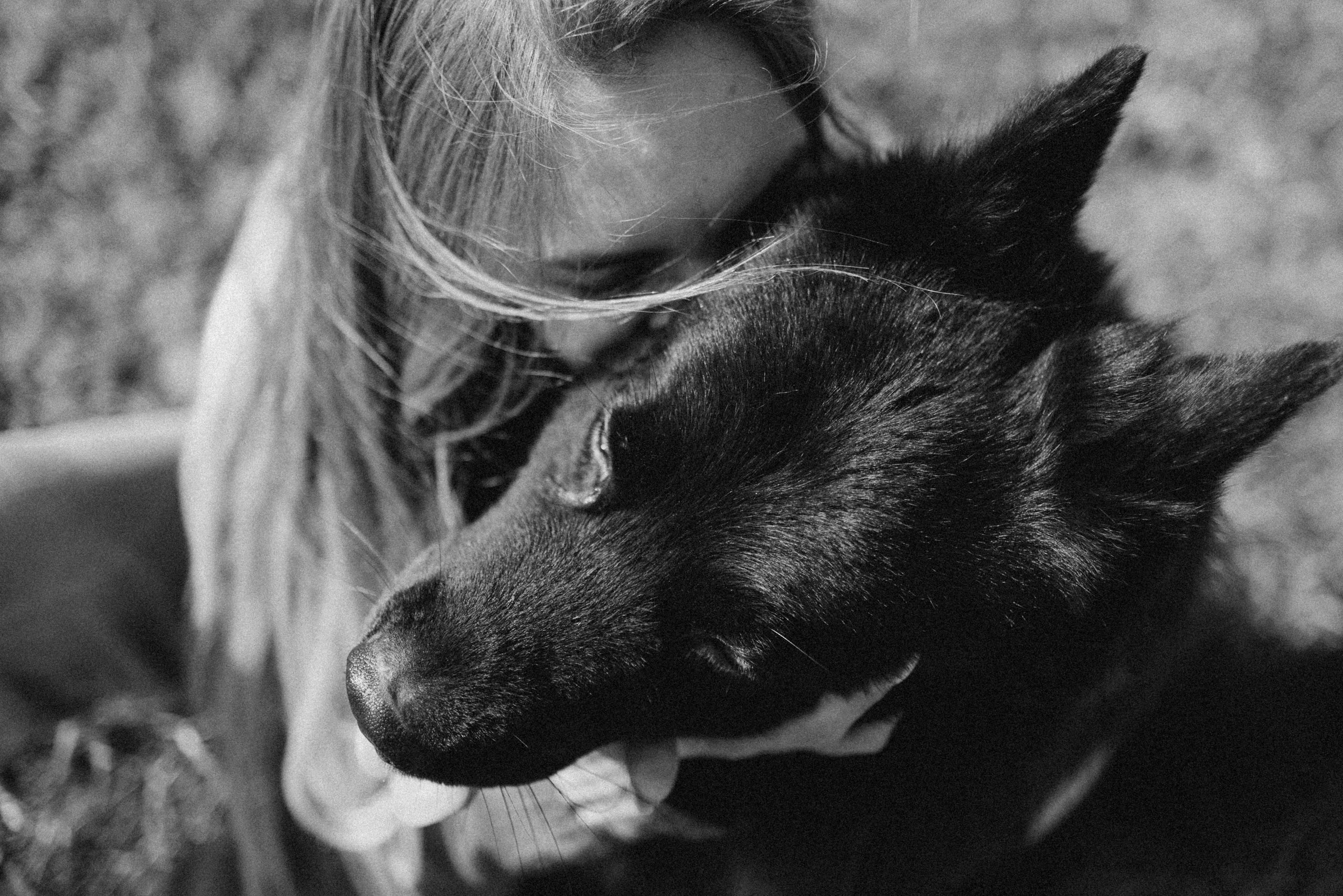 Лора и Джанго. Фотограф — Анималист | Санкт-Петербург