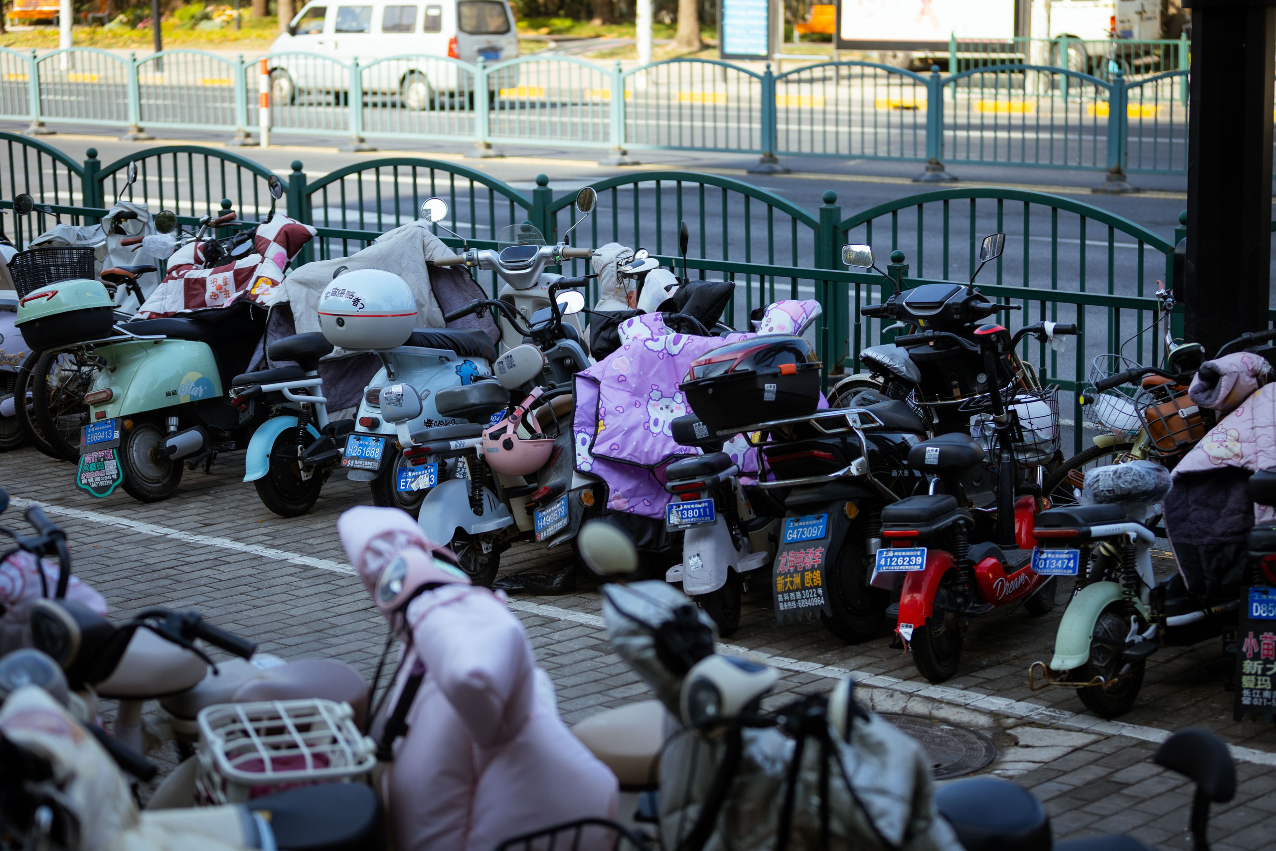 Вьетнам (зима 2025-2026). Фотограф Виноградов Константин