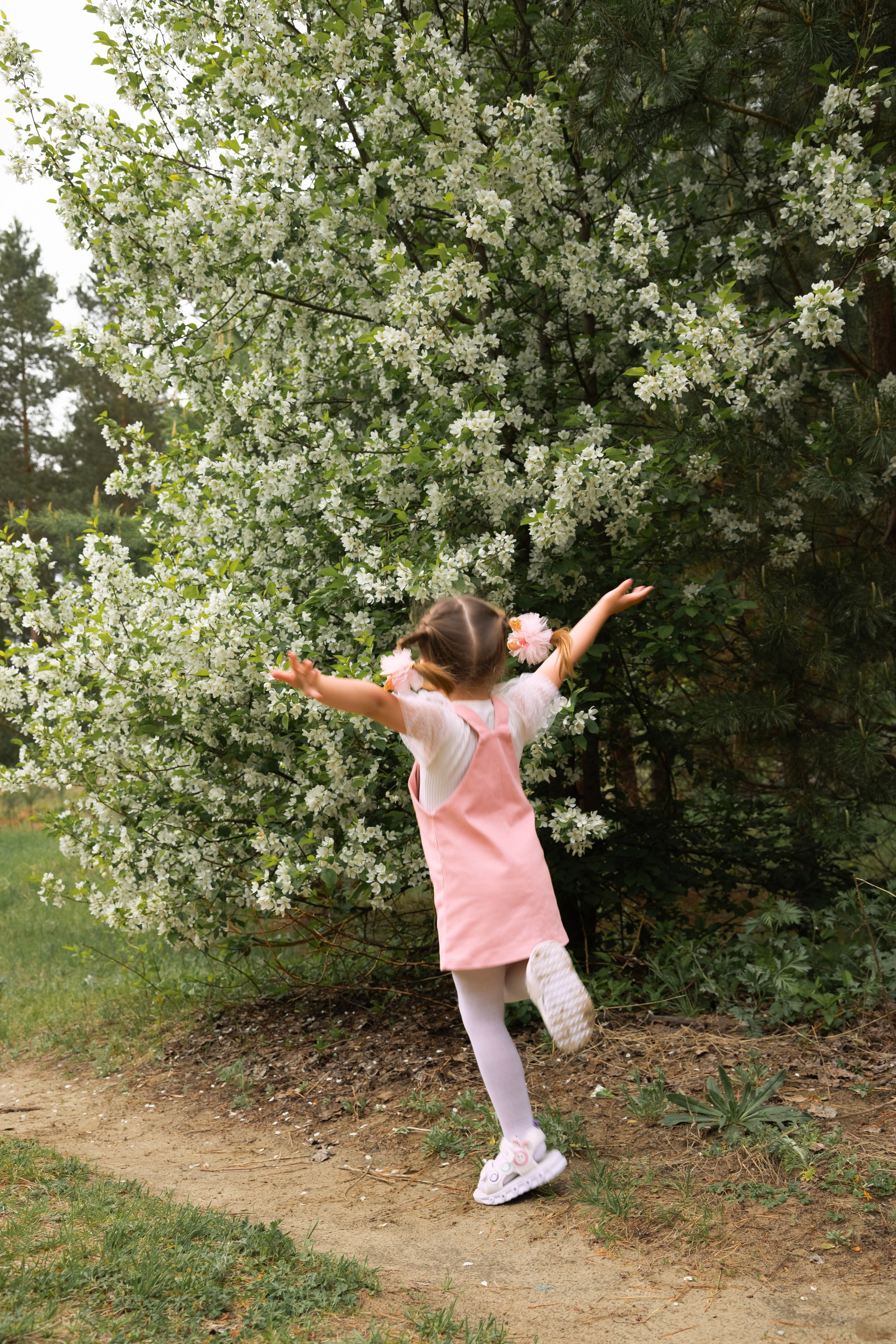 Яблоневый цвет. Фотограф в Томске Евгения Гуляева