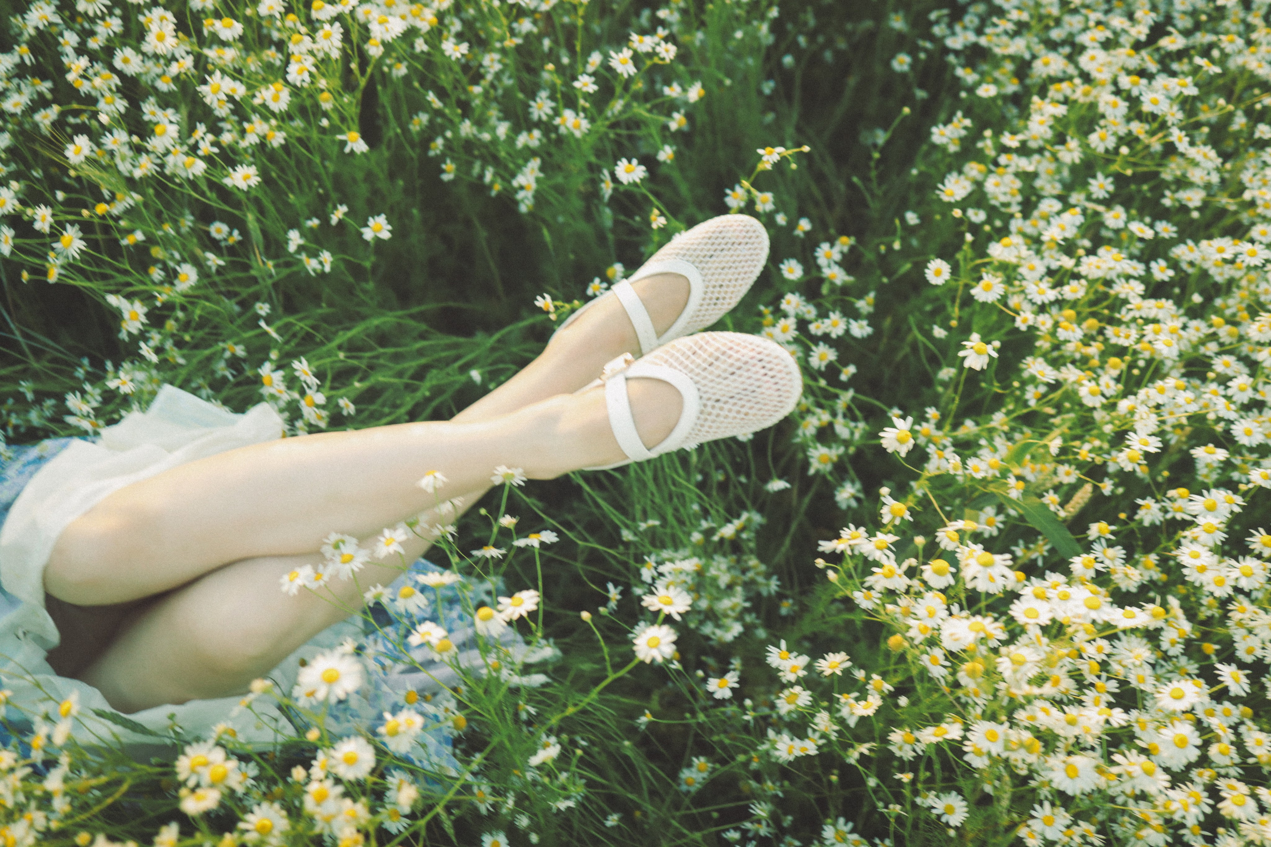 Фотосессия в ромашках и поле пшеницы. Иванова Ирина Свадебный и семейный фотограф г. Уфа