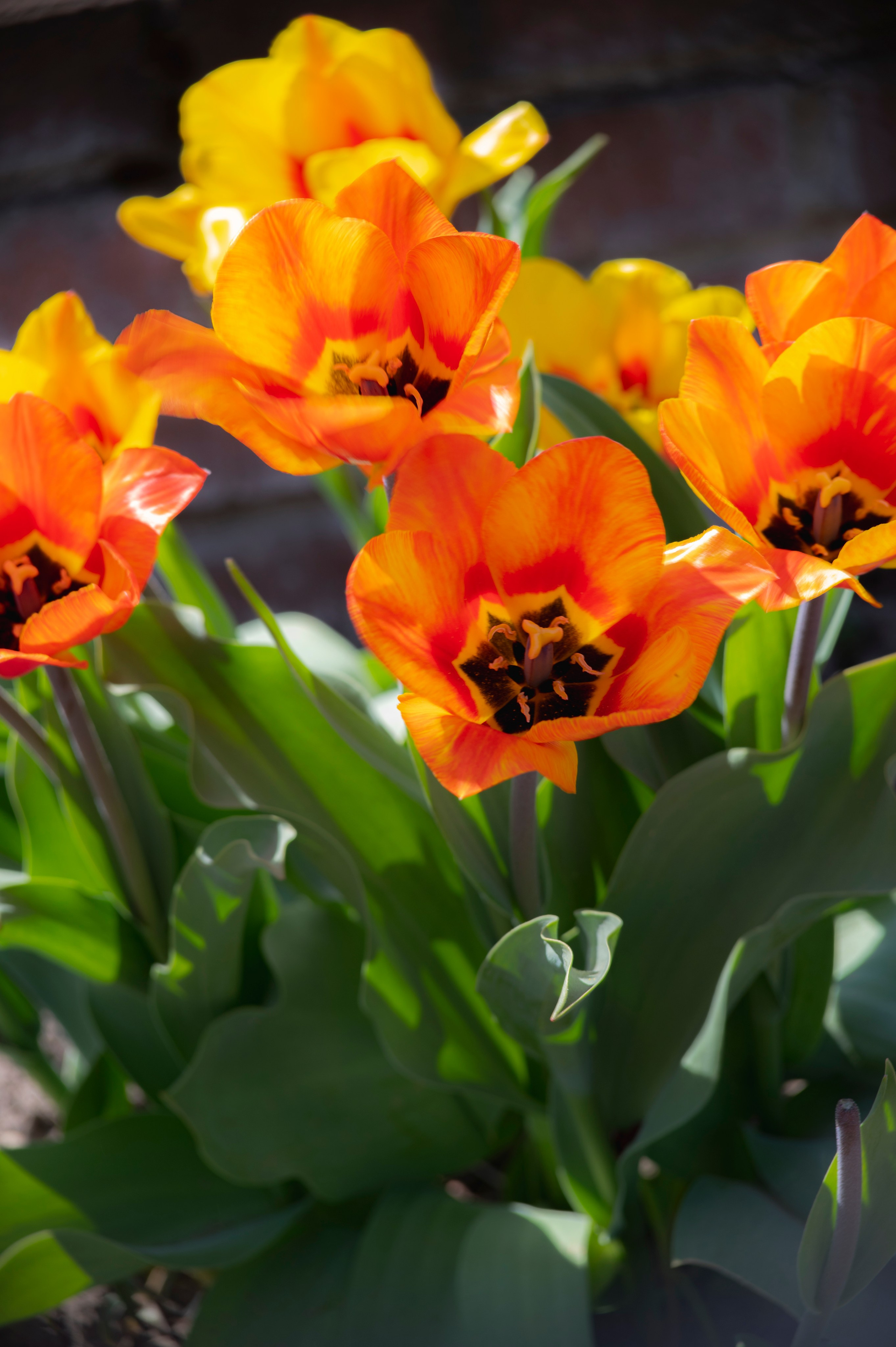 Муром. Май 2022. Фотограф Роман Адлер