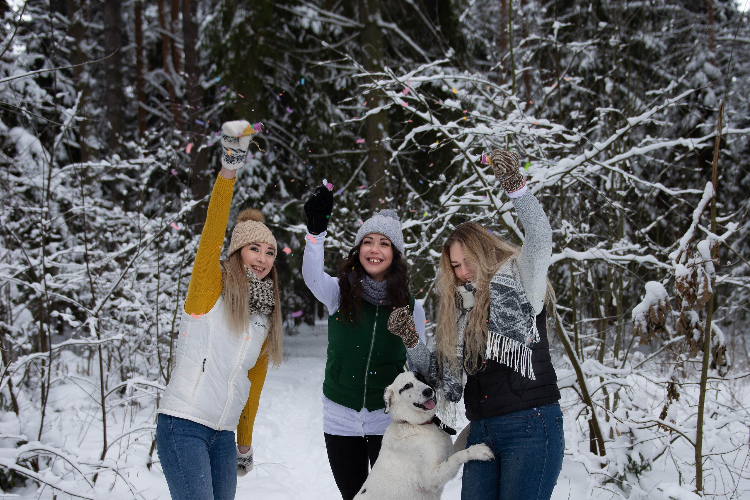 Зимний лес прекрасен. Творческий фотограф Вологда