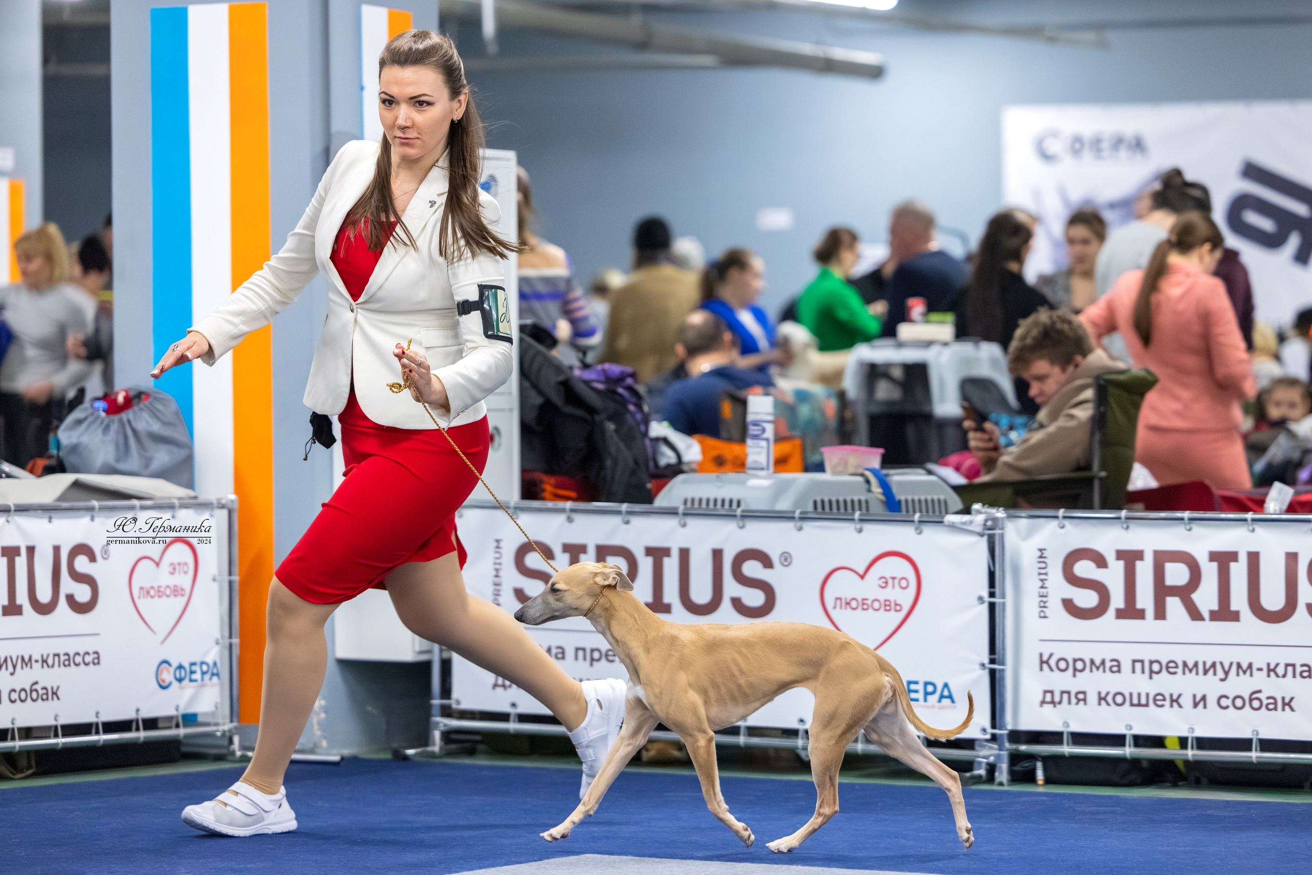 Сфера 17.03.2024. Фотограф-анималист Юлия Германика