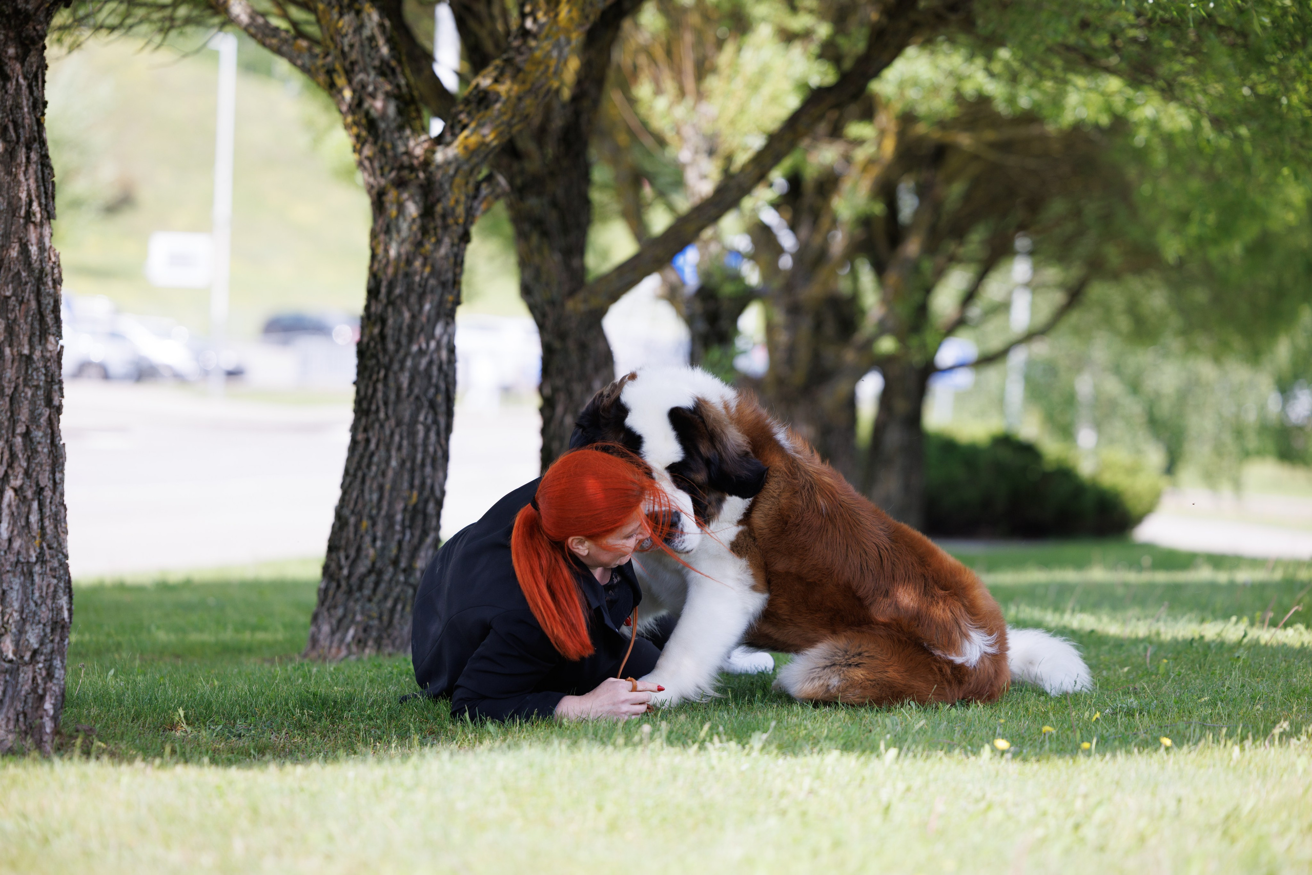 Минск 31.05-1.06.2025. Фотограф-анималист Юлия Германика