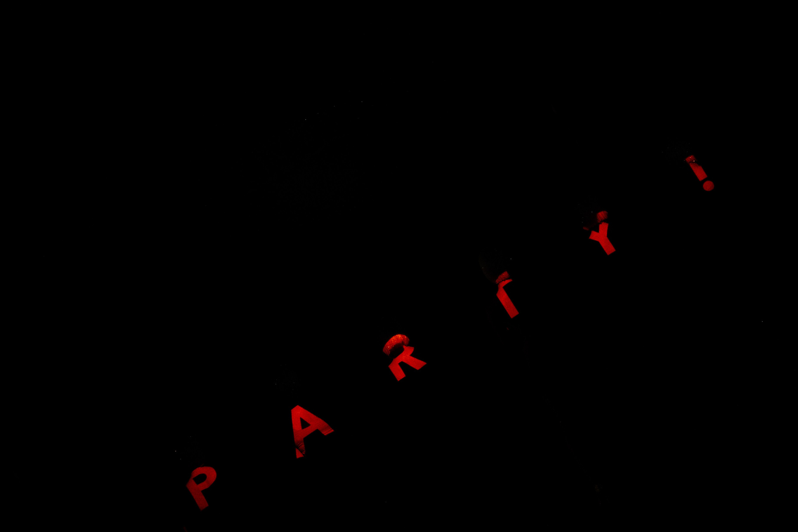 Circus party. Свадебный фотограф Михаил Мирзоян