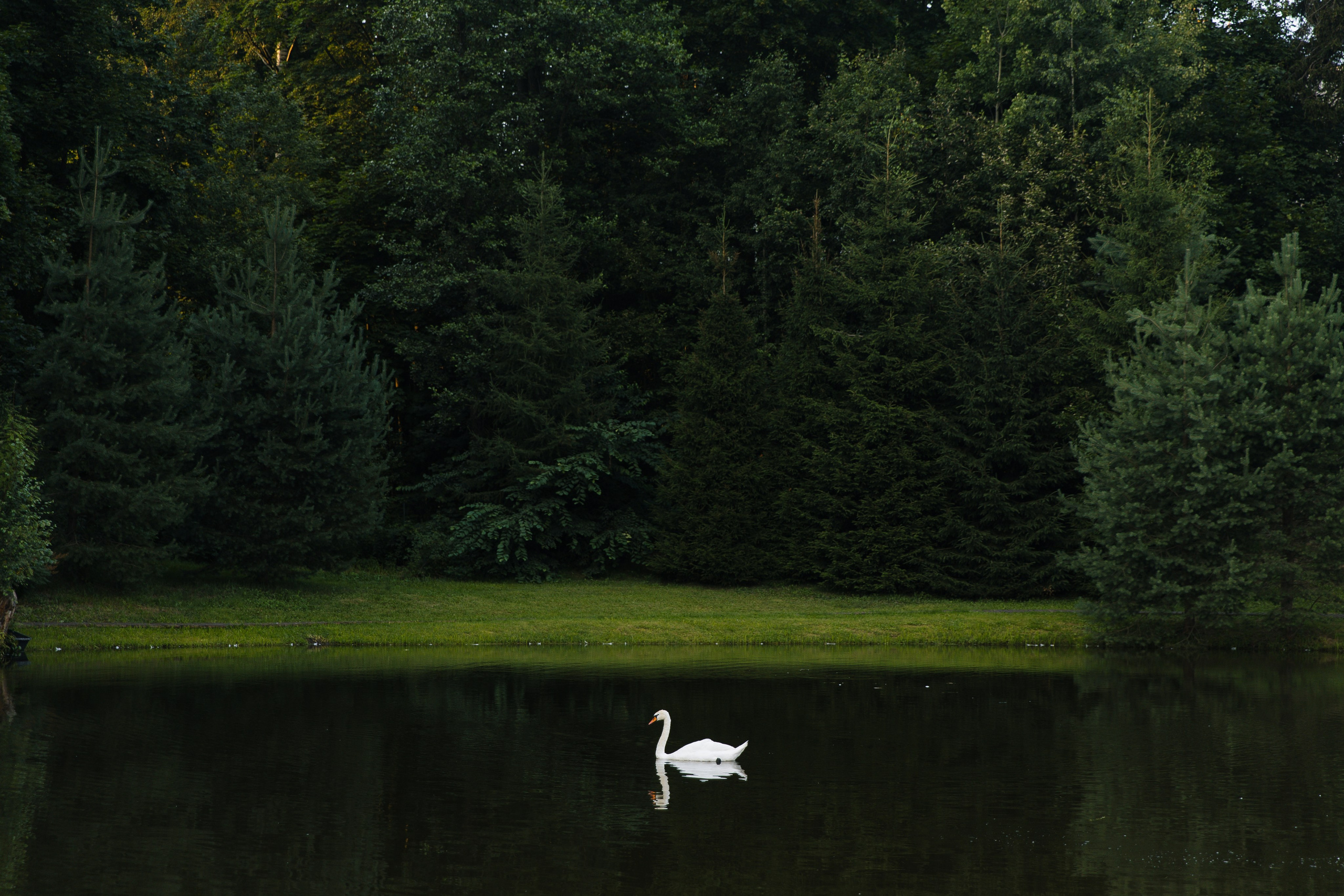 Карина | Дима