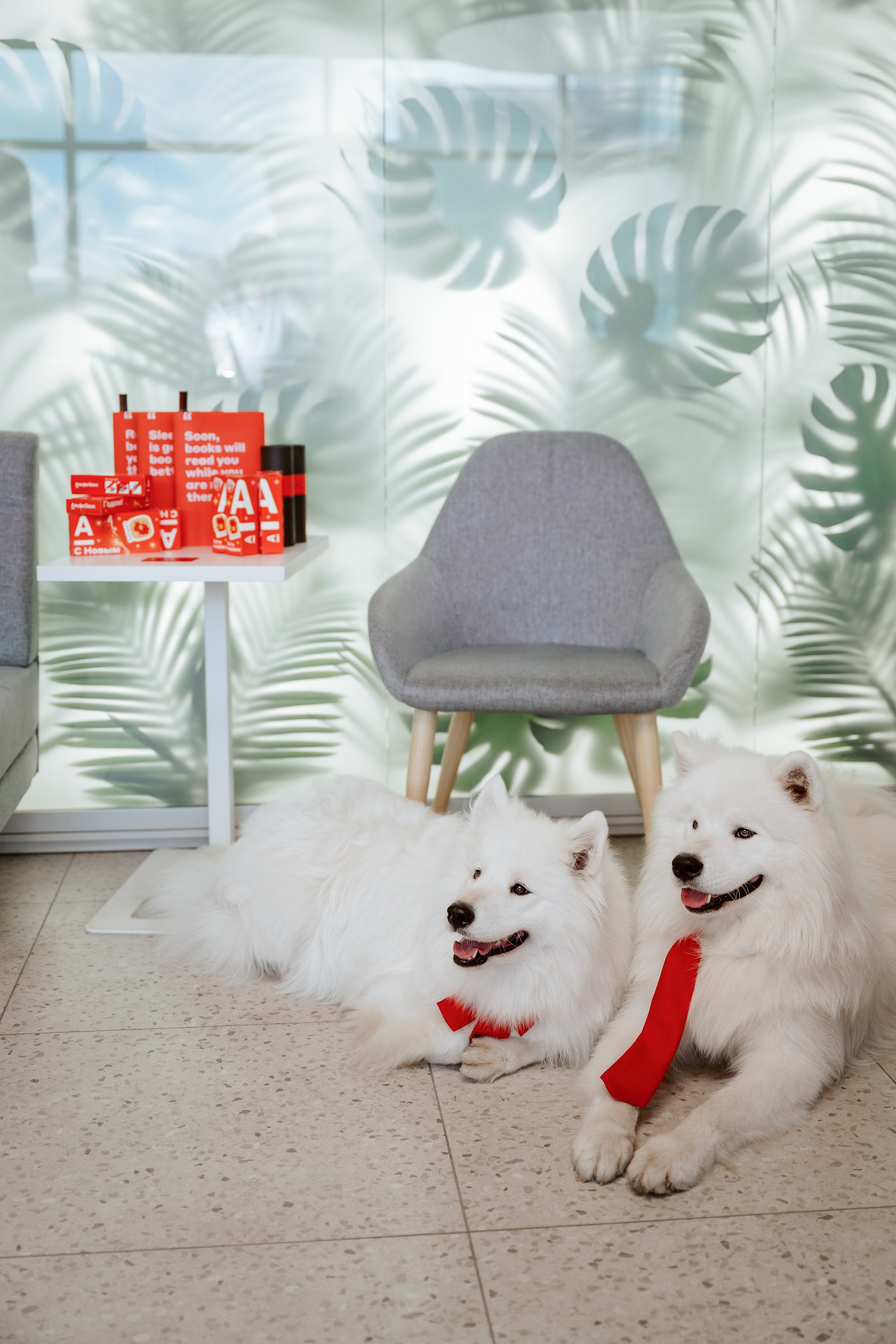 Альфа банк Карла Маркса 5. Фотограф Кристина Тумаева. Самоед Новосибирск