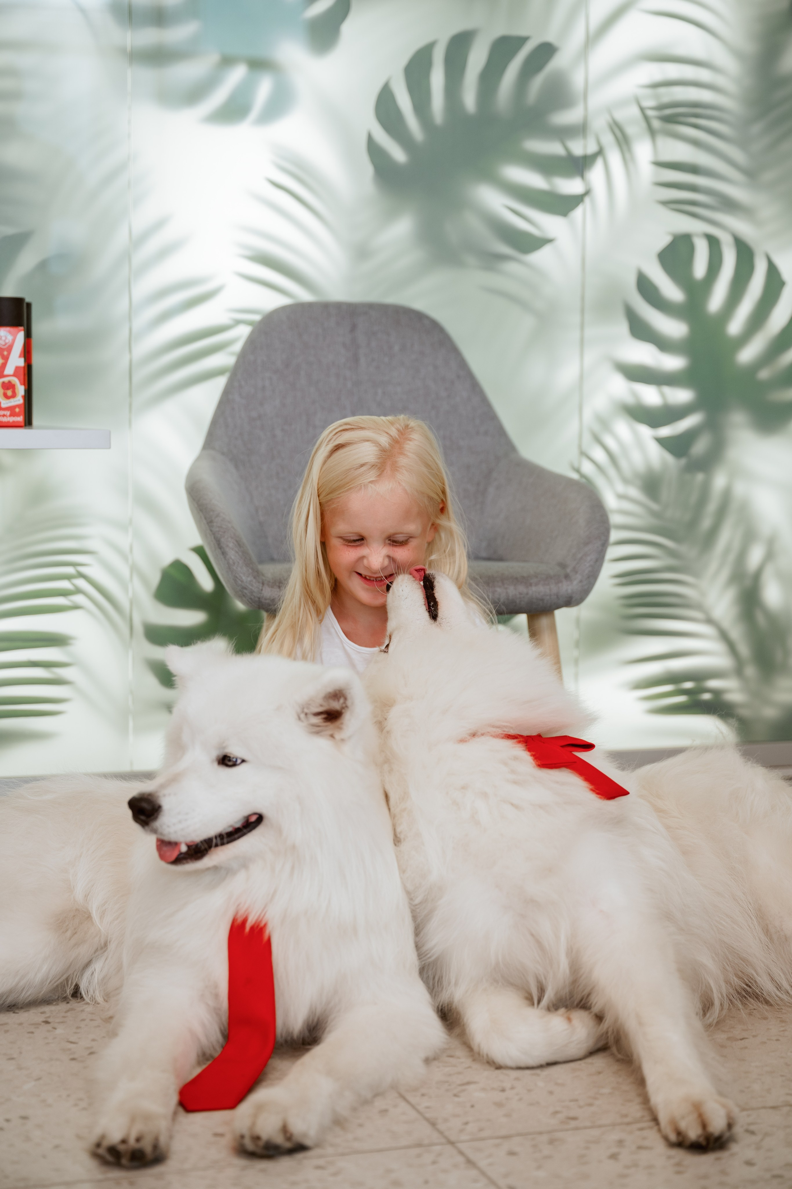 Альфа банк Карла Маркса 5. Фотограф Кристина Тумаева. Самоед Новосибирск