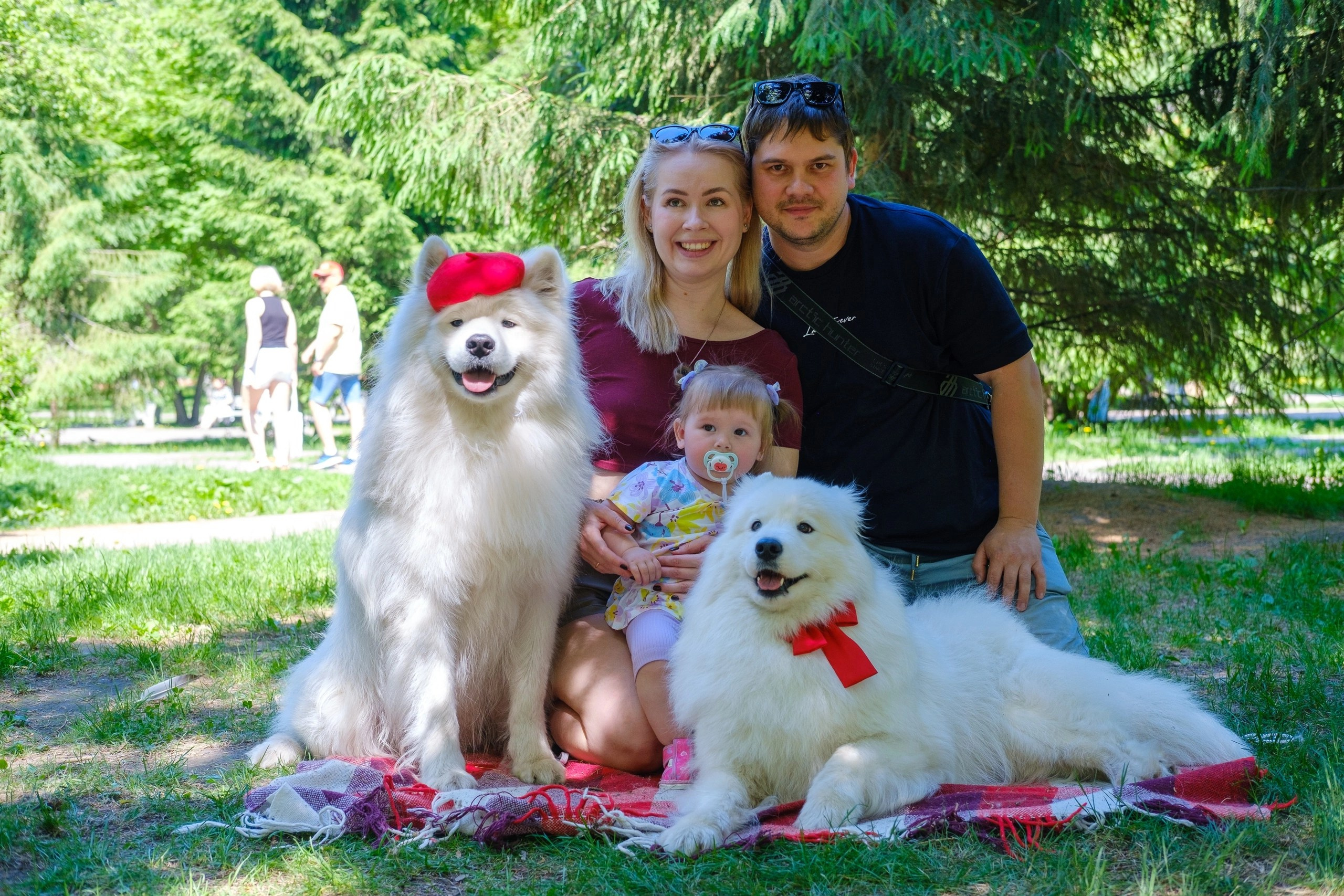 Благотворительная фотосессия. Самоед Новосибирск