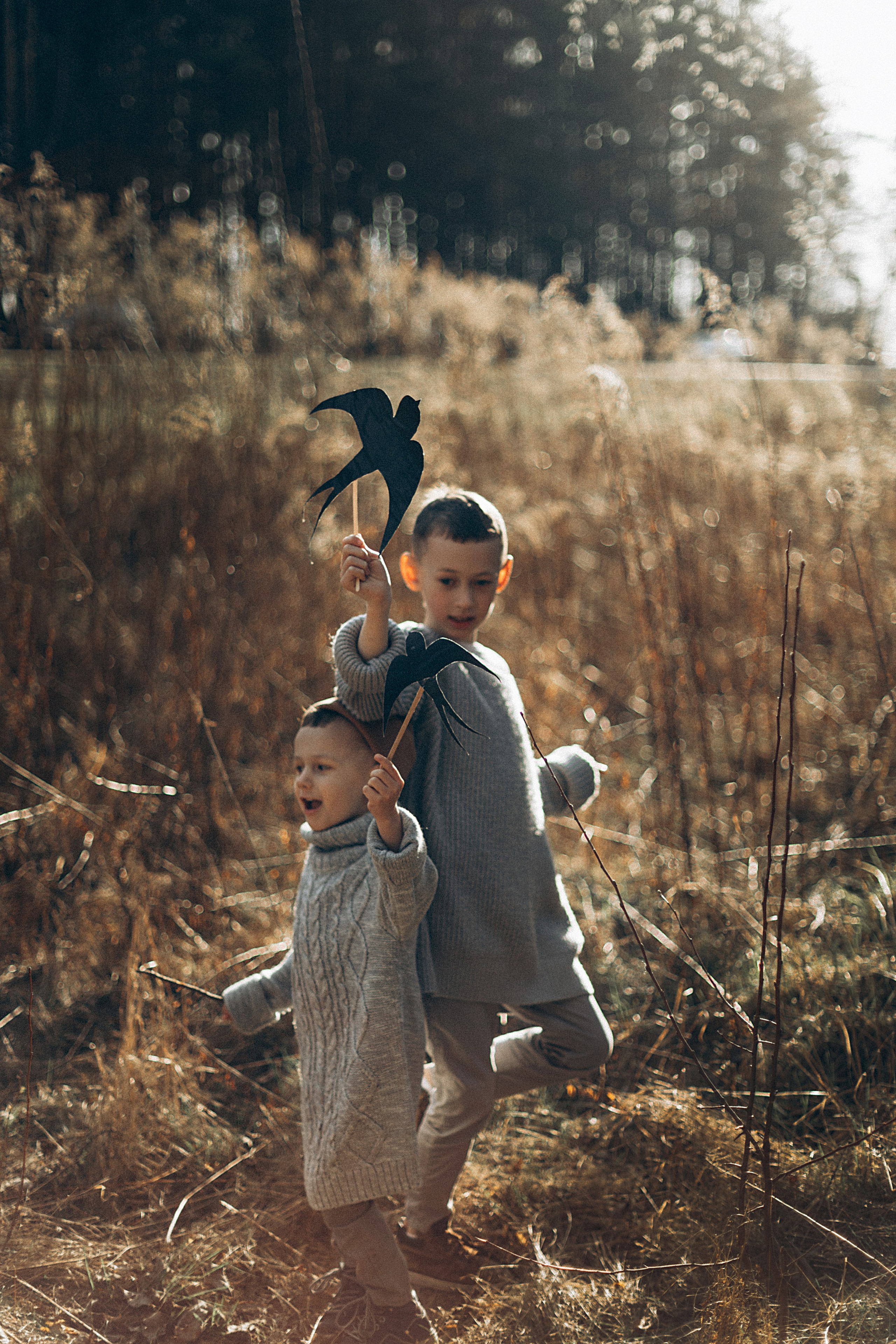 Птицы-самолеты. Репортажный и детский фотограф в Минске