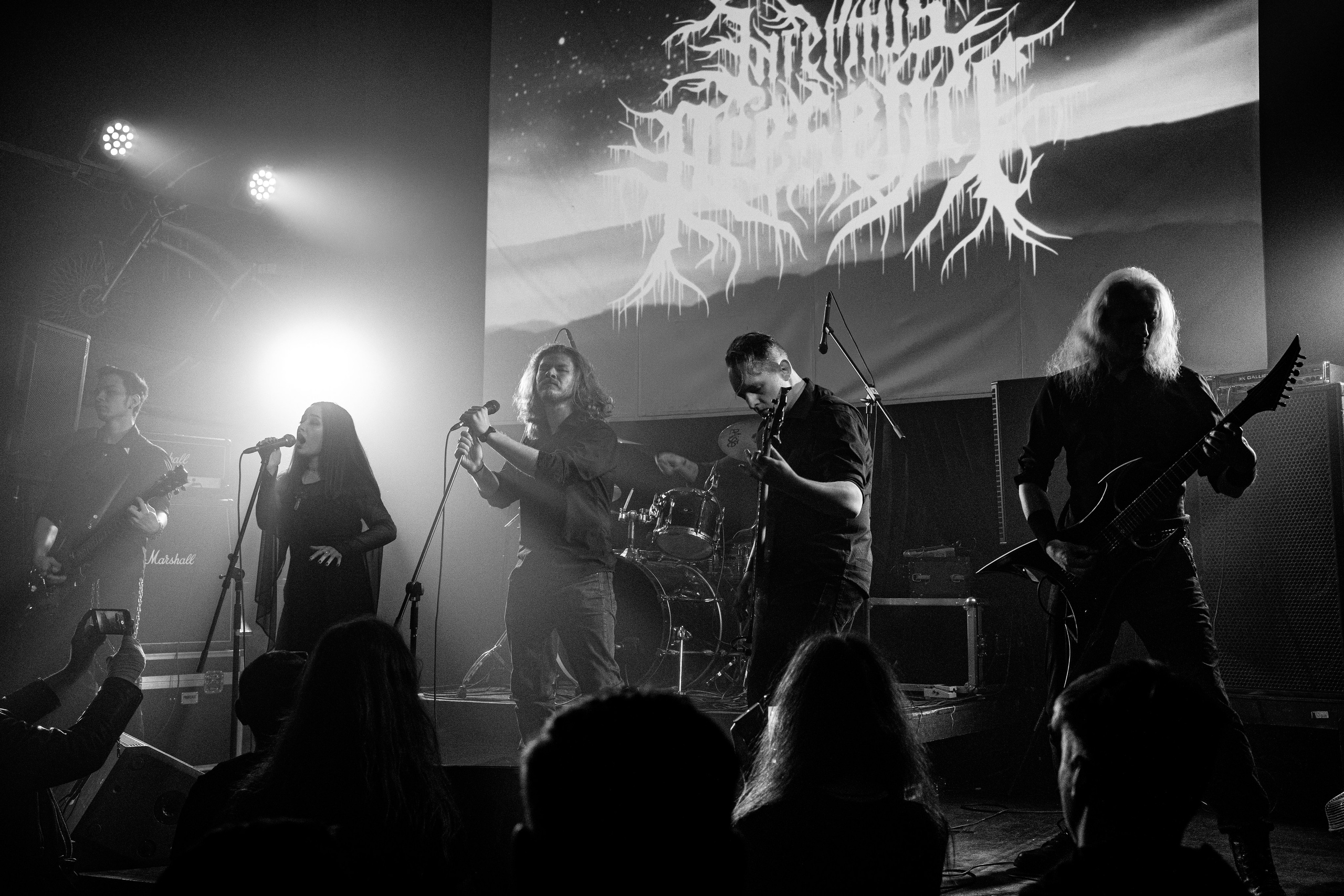 Valhalla | 24.05.25 | Ласточка. Концертный и репортажный фотограф в Санкт-Петербурге Слава Пахомов