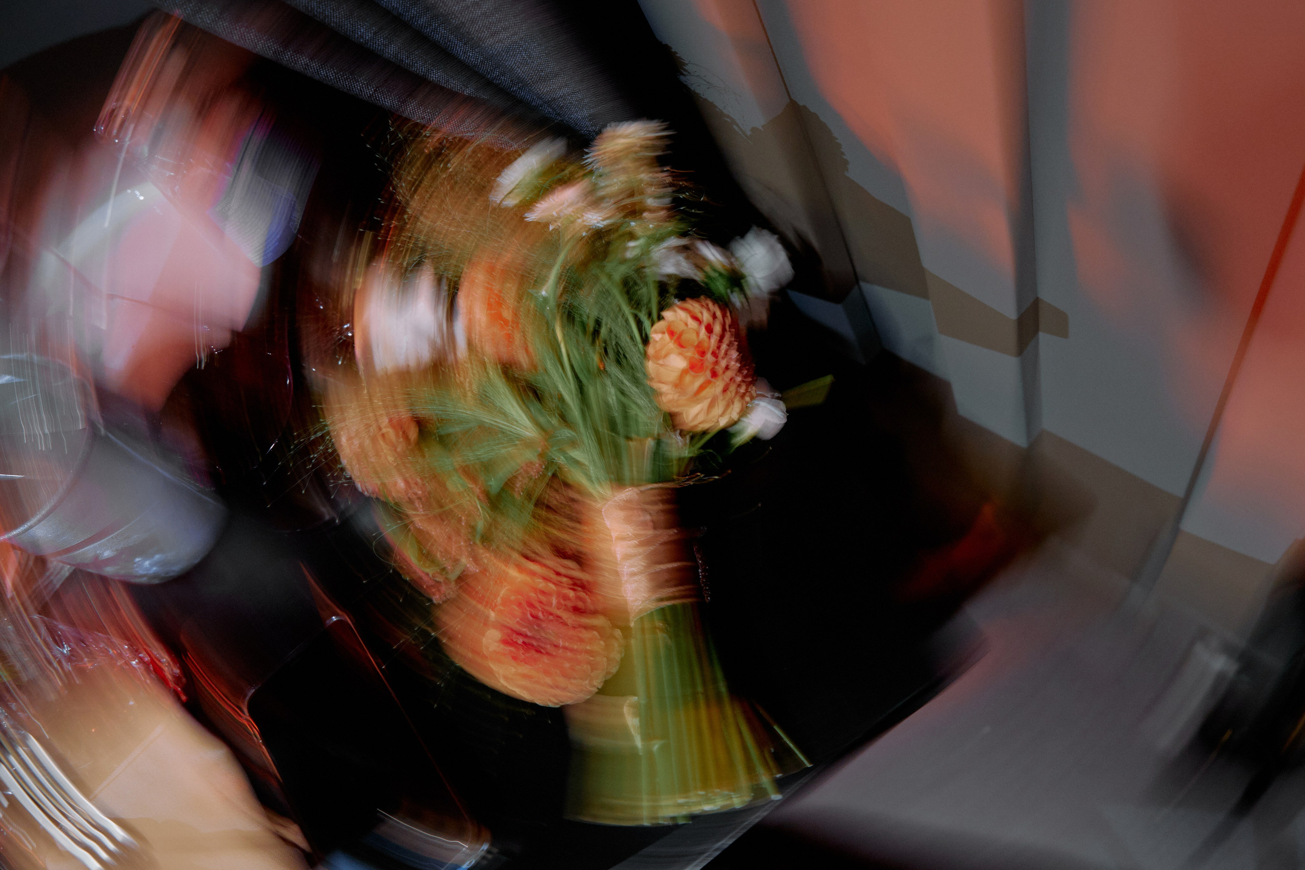 ПЕ-ПЕ-ПЕ. Фотограф Елена Краснопевцева