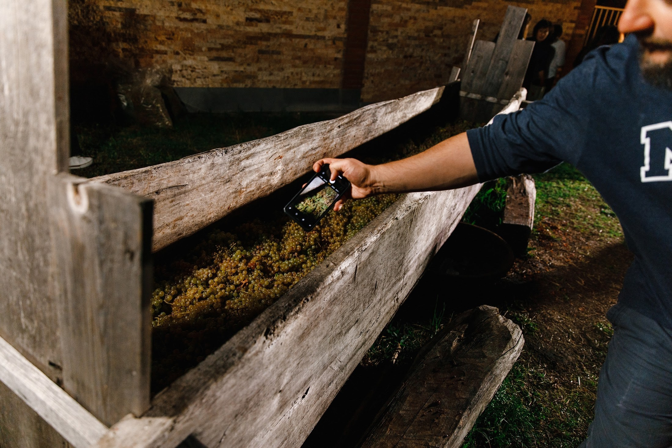 Максим и Алена. Свадебный фотограф в Москве и МО Александр Ласковенков