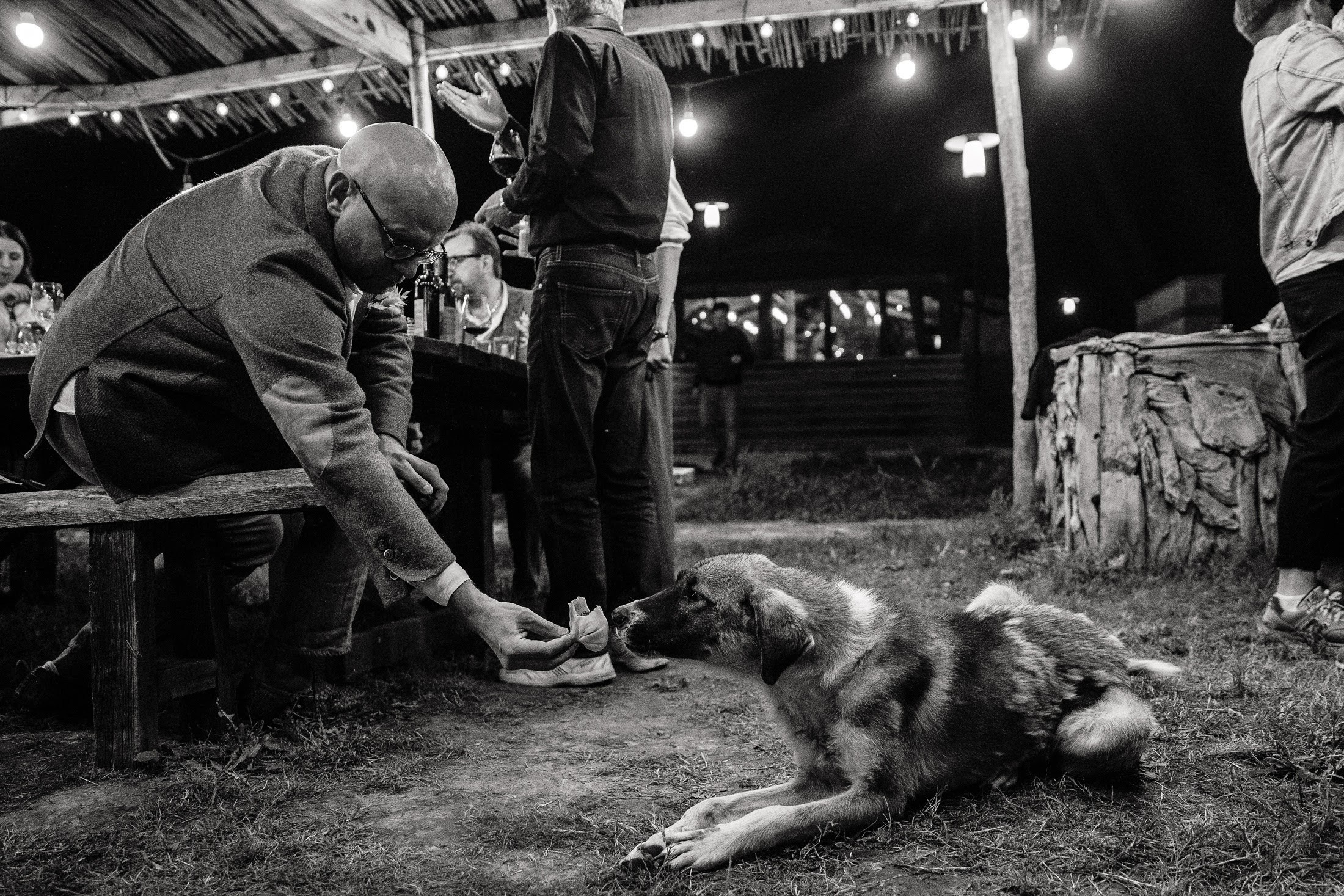 Максим и Алена. Свадебный фотограф в Москве и МО Александр Ласковенков