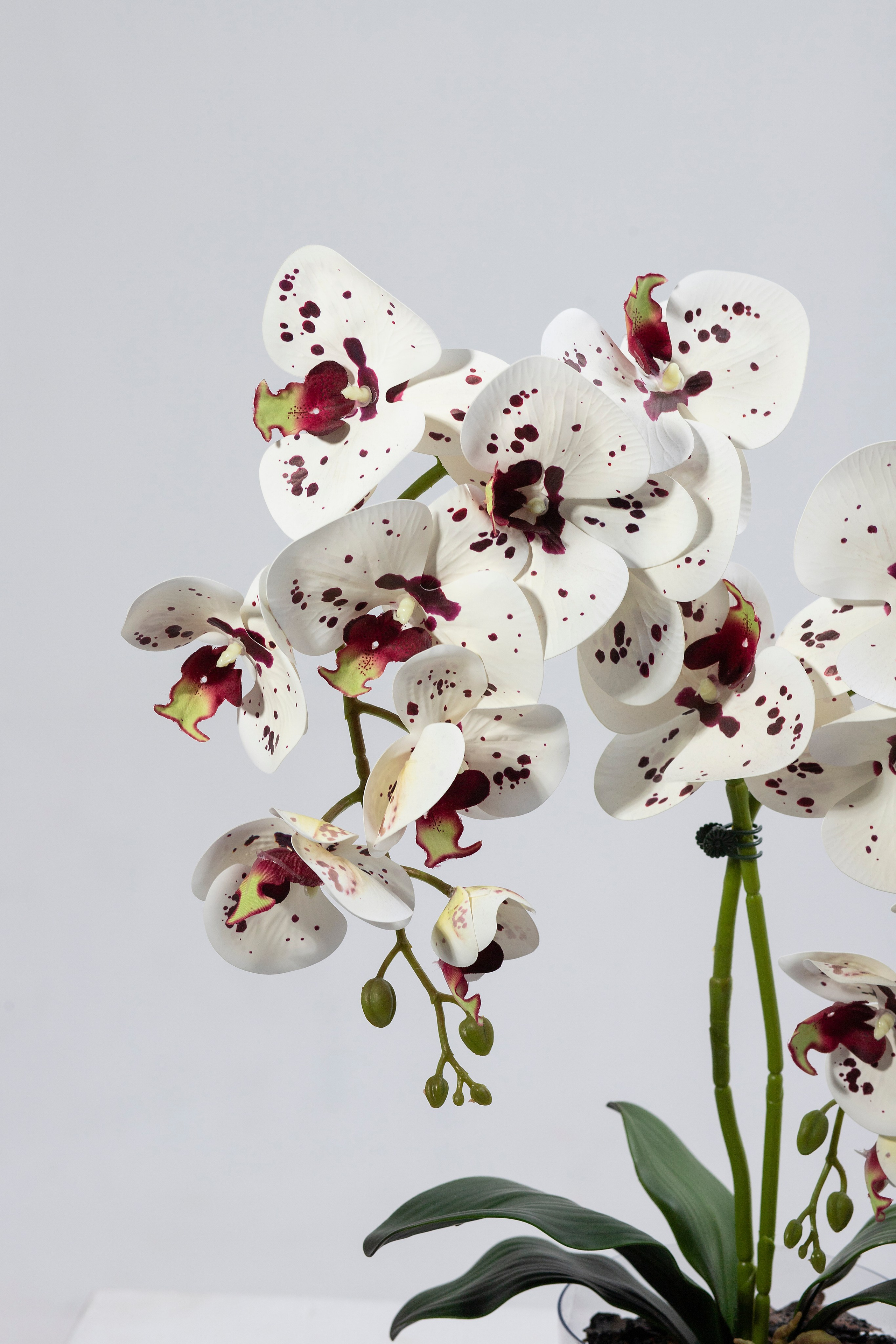 Маркетплейс. Фотограф Пушкино и Москва Анастасия Коган