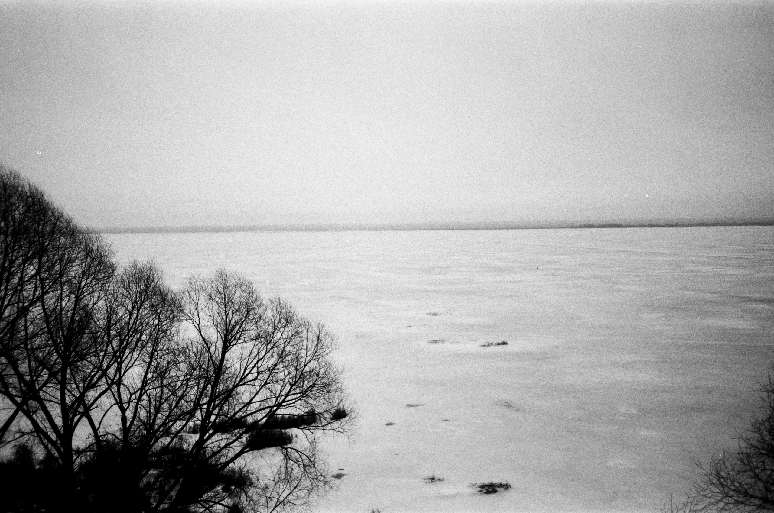 Чб пленка. Событийный фотограф в Москве Юлия Папиянц