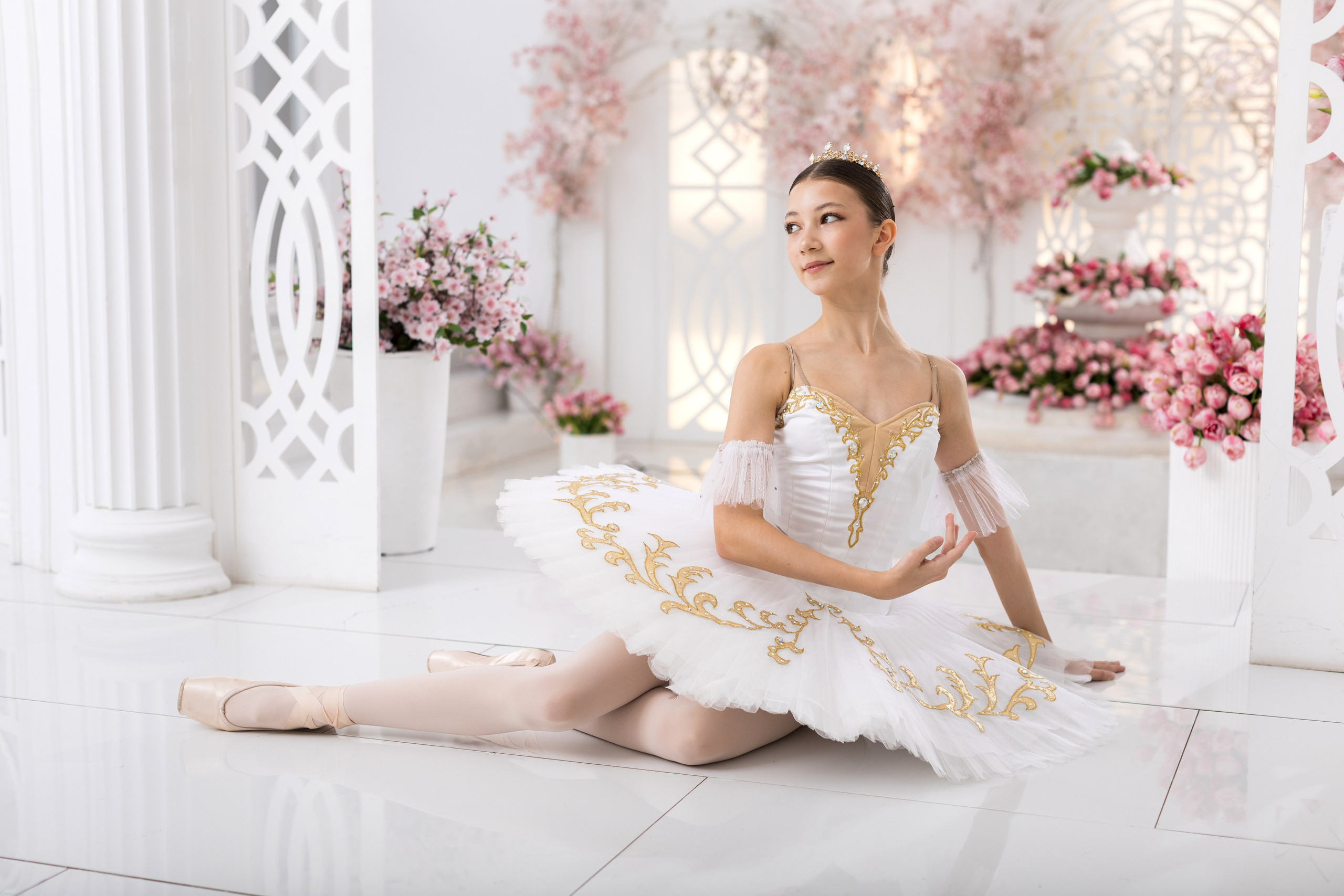 Балетная съёмка в интерьере. Балетный фотограф Алина Ханько — Душа Балета