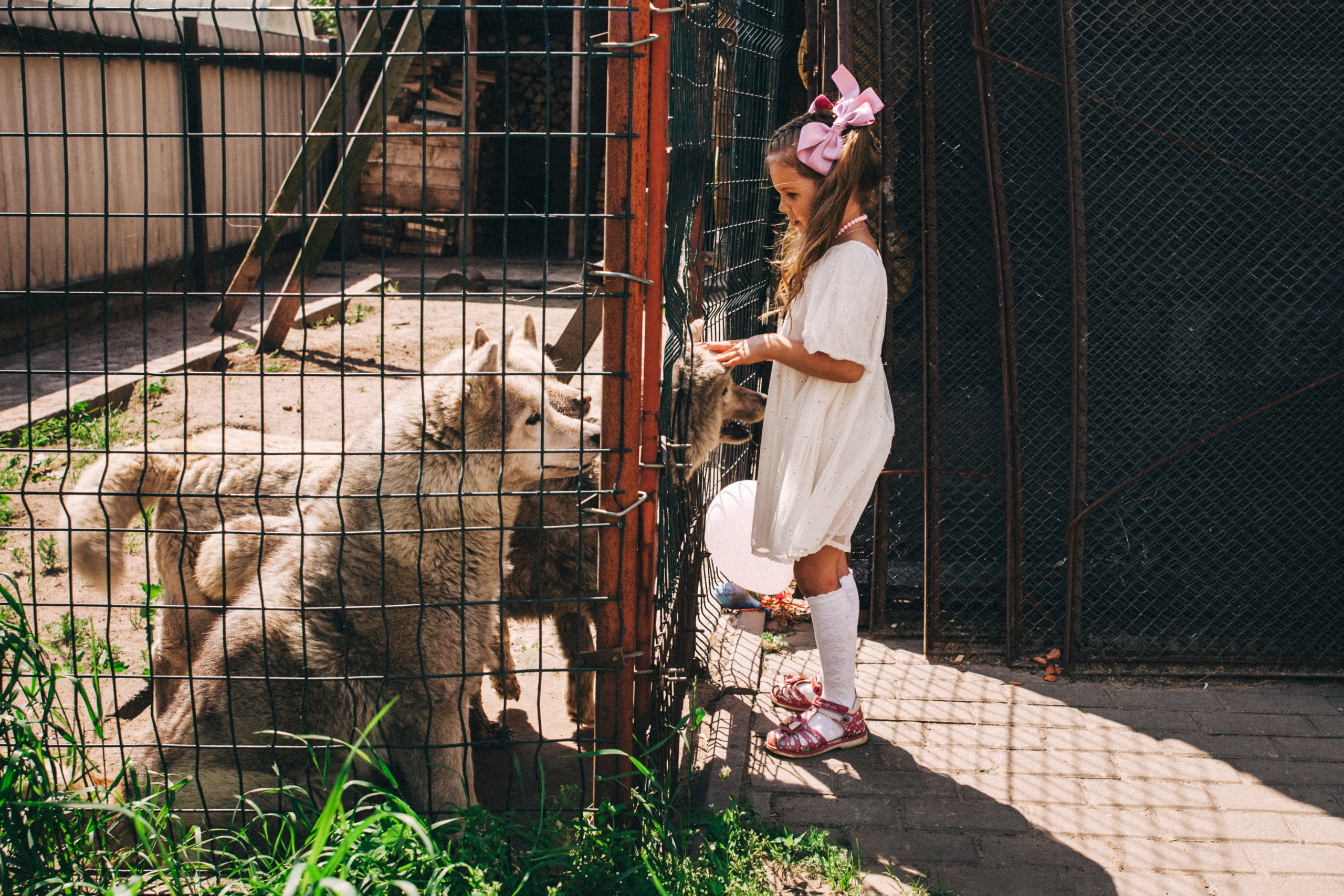 Есении 5 лет. ДР на даче. Семейный фотограф, фотограф родов, репортажей фотограф в Санкт-Петербу