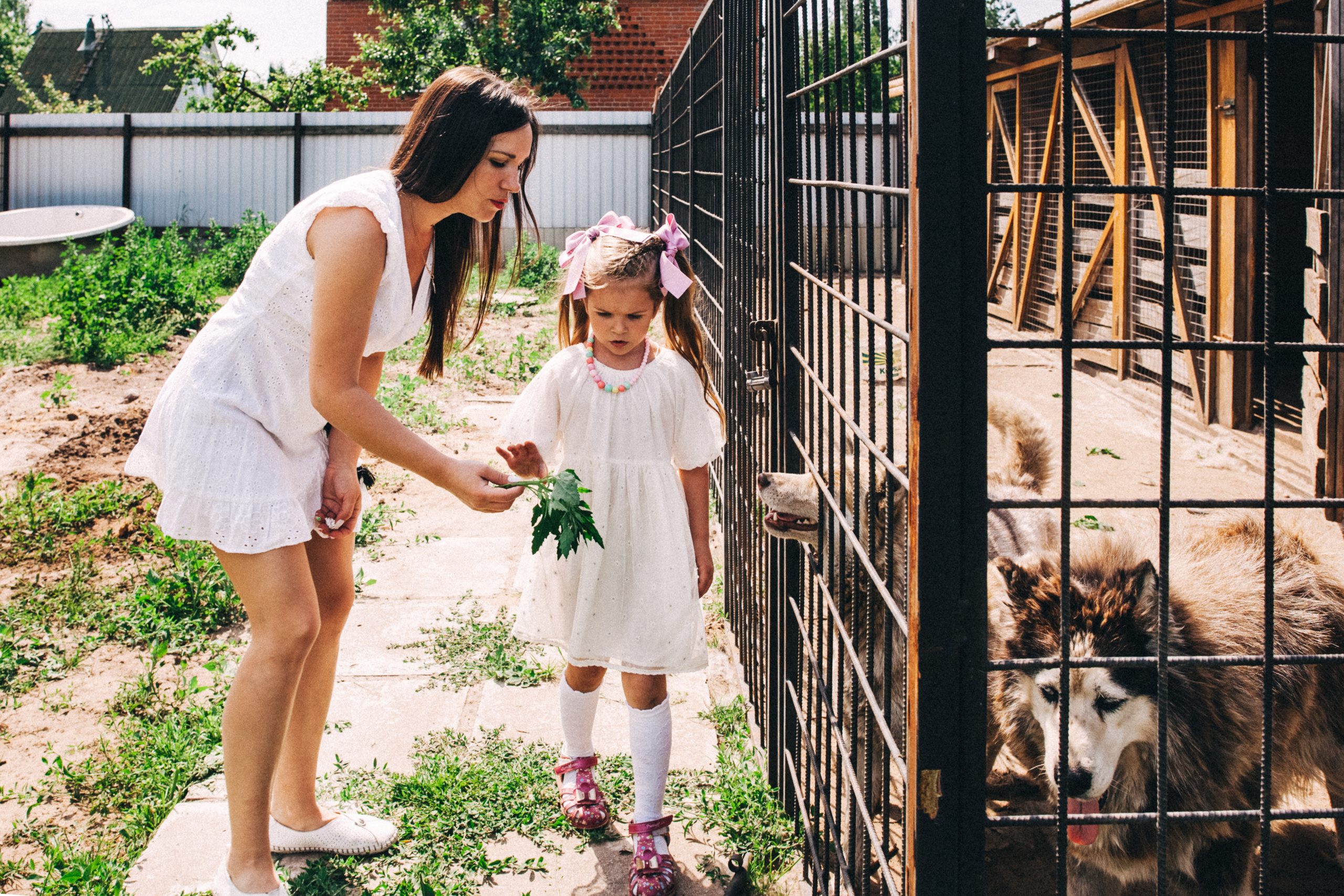 Есении 5 лет. ДР на даче. Семейный фотограф, фотограф родов, репортажей фотограф в Санкт-Петербу