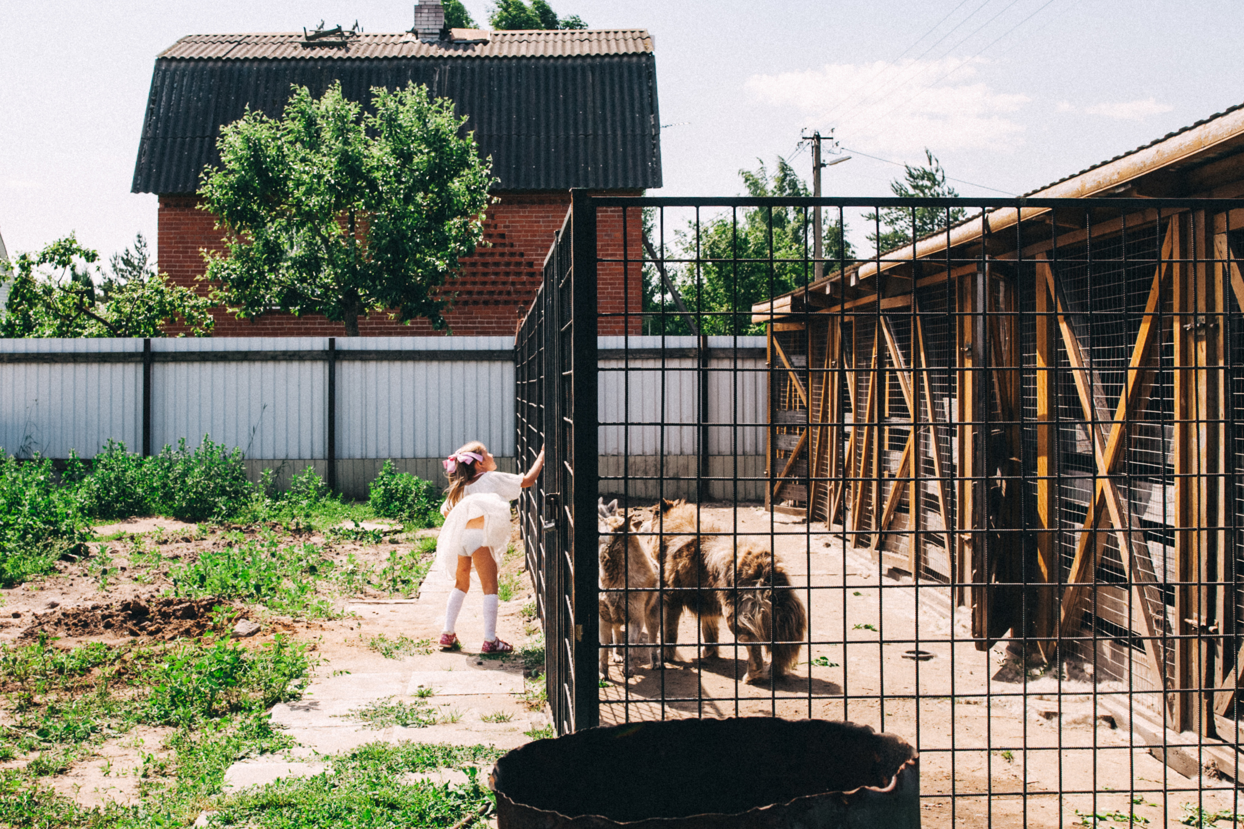 Есении 5 лет. ДР на даче. Семейный фотограф, фотограф родов, репортажей фотограф в Санкт-Петербу