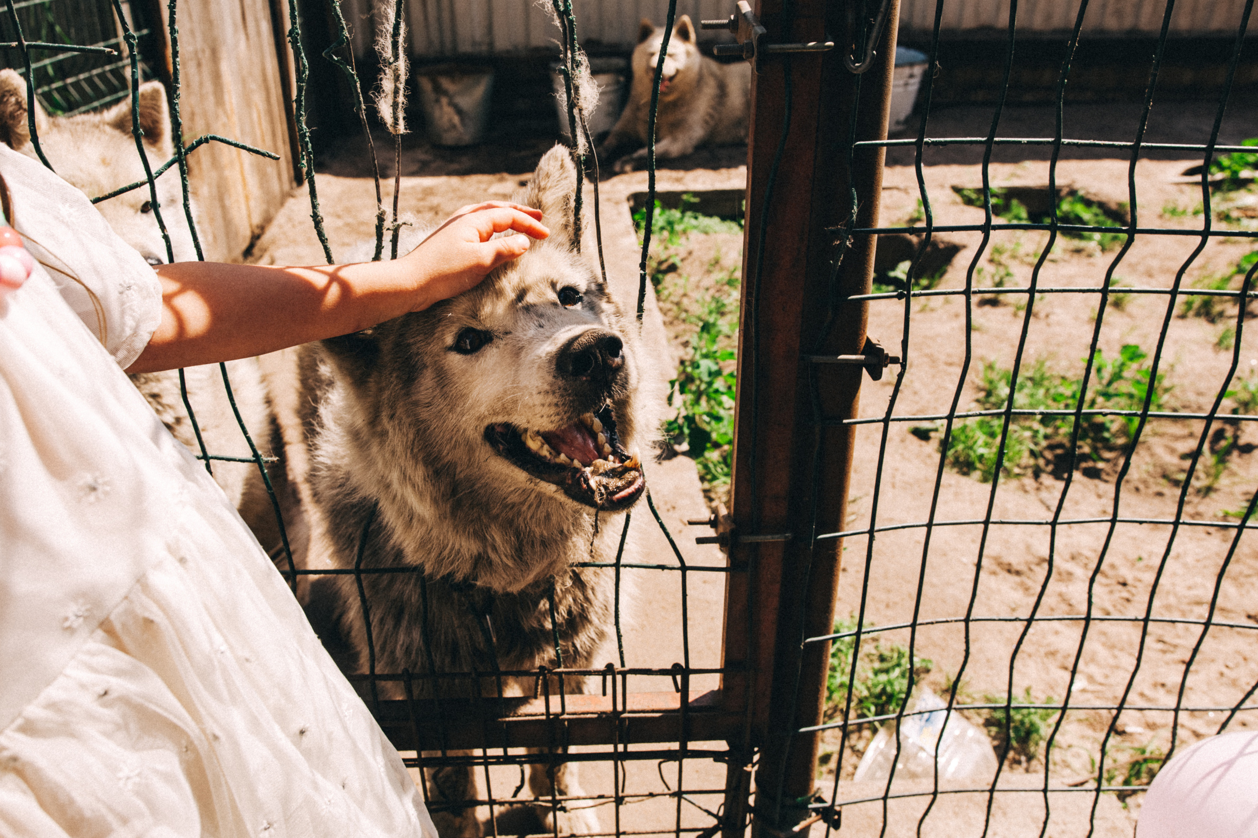 Есении 5 лет. ДР на даче. Семейный фотограф, фотограф родов, репортажей фотограф в Санкт-Петербу