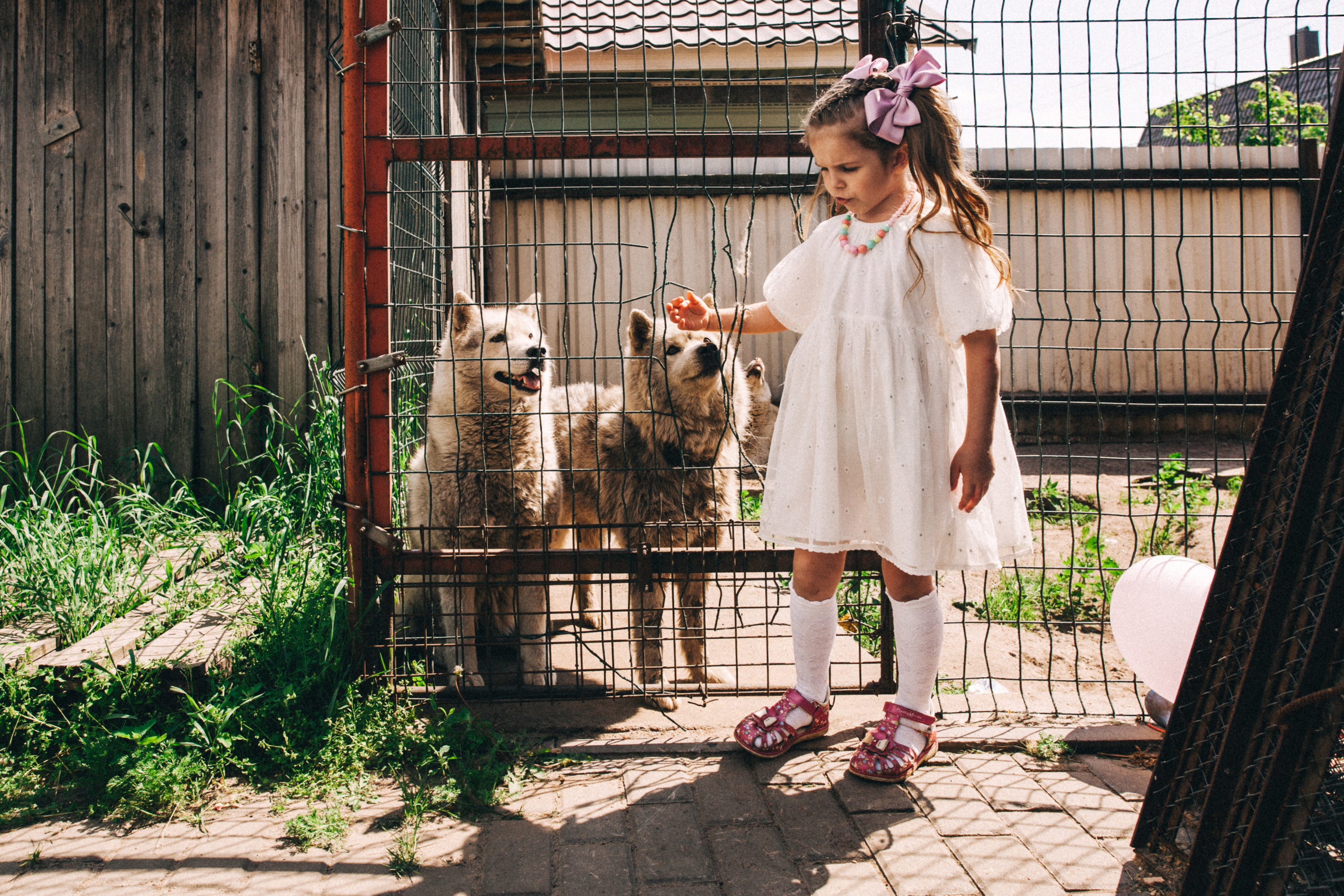Есении 5 лет. ДР на даче. Семейный фотограф, фотограф родов, репортажей фотограф в Санкт-Петербу