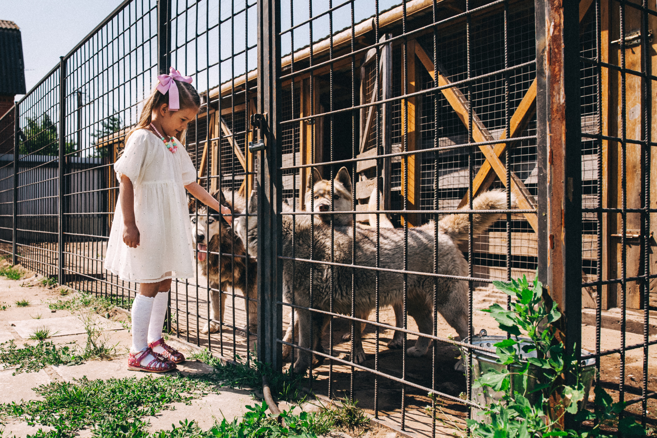 Есении 5 лет. ДР на даче. Семейный фотограф, фотограф родов, репортажей фотограф в Санкт-Петербу