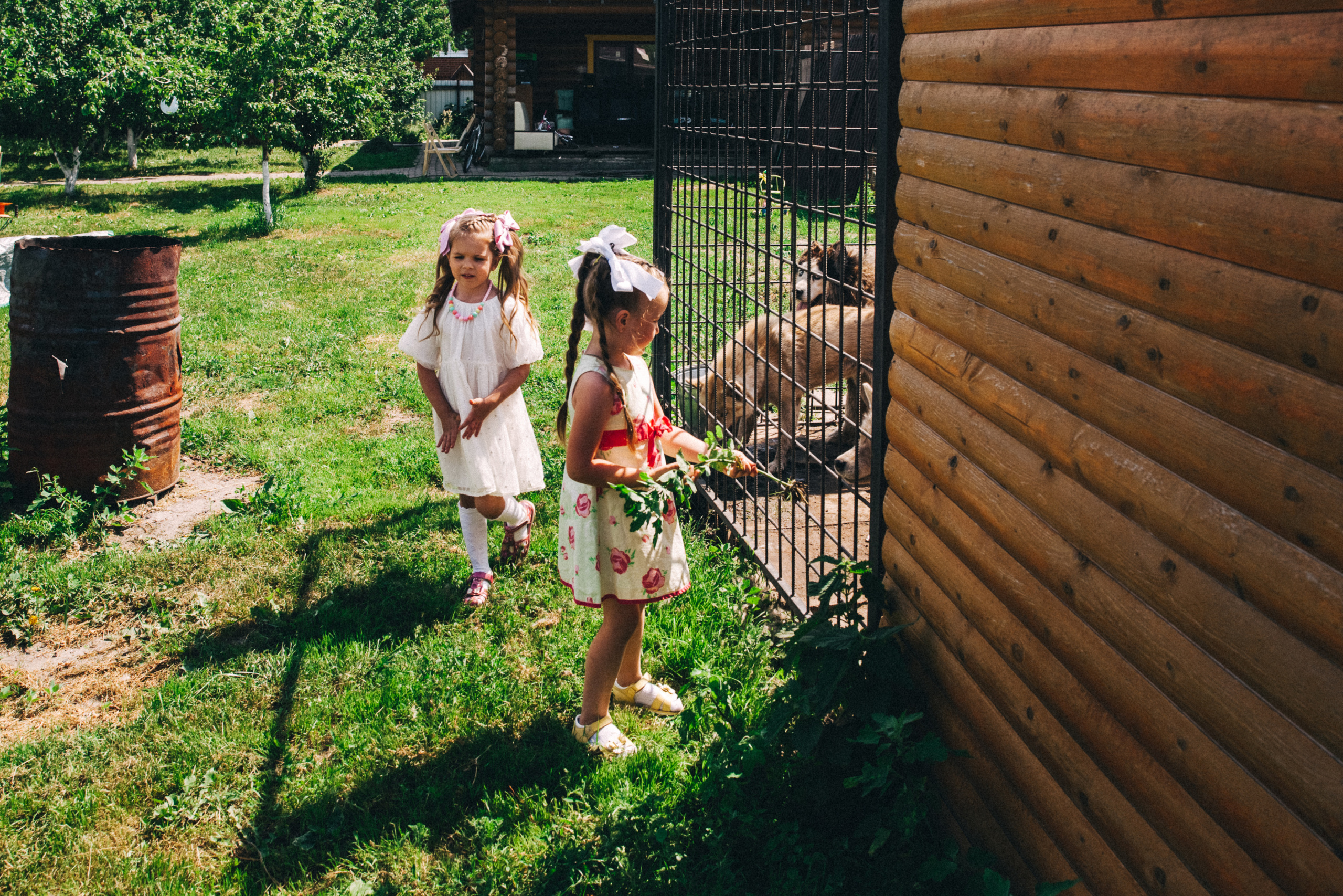 Есении 5 лет. ДР на даче. Семейный фотограф, фотограф родов, репортажей фотограф в Санкт-Петербу