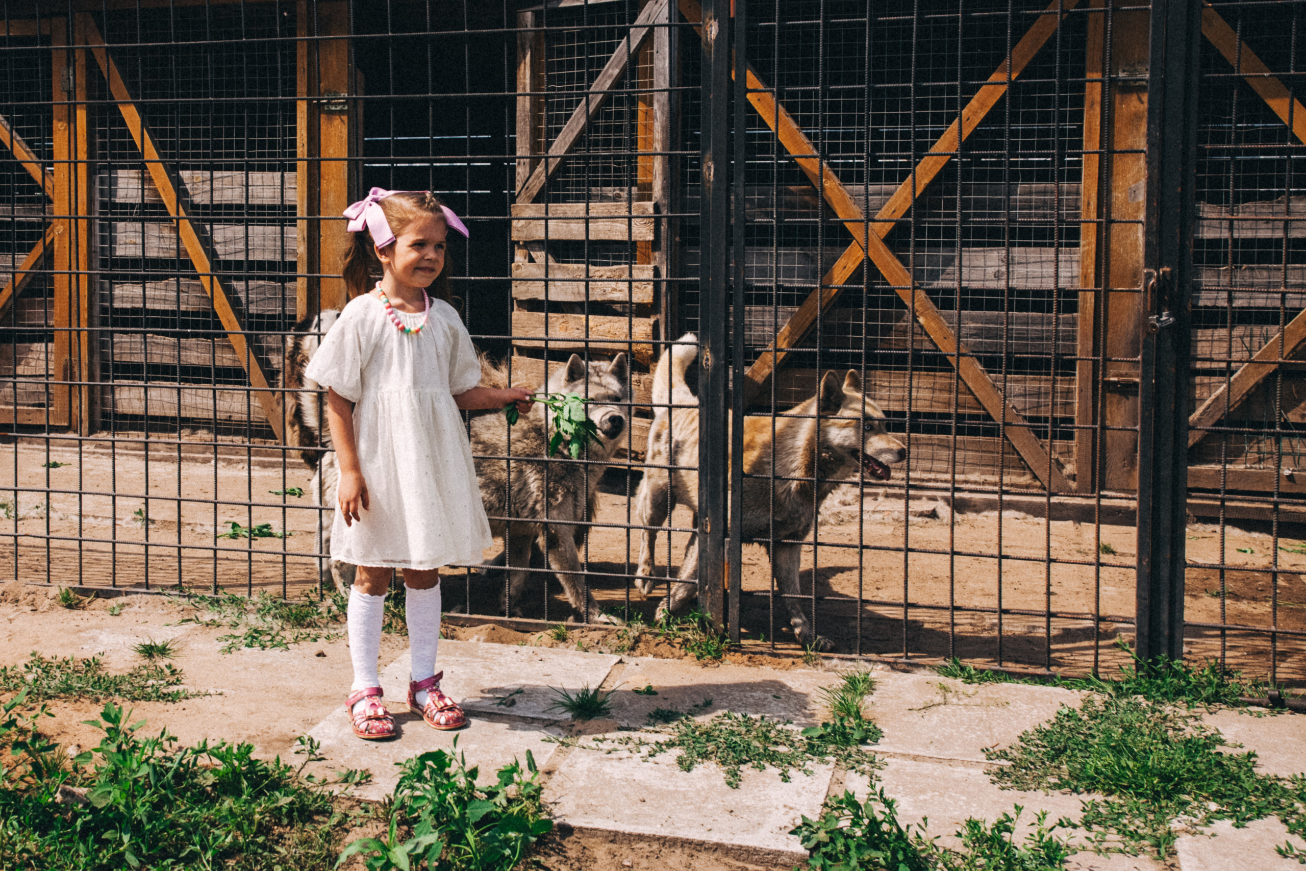 Есении 5 лет. ДР на даче. Семейный фотограф, фотограф родов, репортажей фотограф в Санкт-Петербу