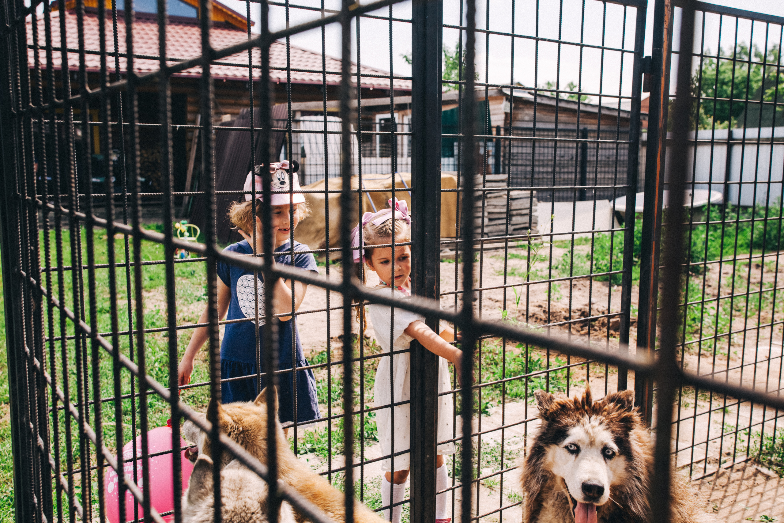 Есении 5 лет. ДР на даче. Семейный фотограф, фотограф родов, репортажей фотограф в Санкт-Петербу