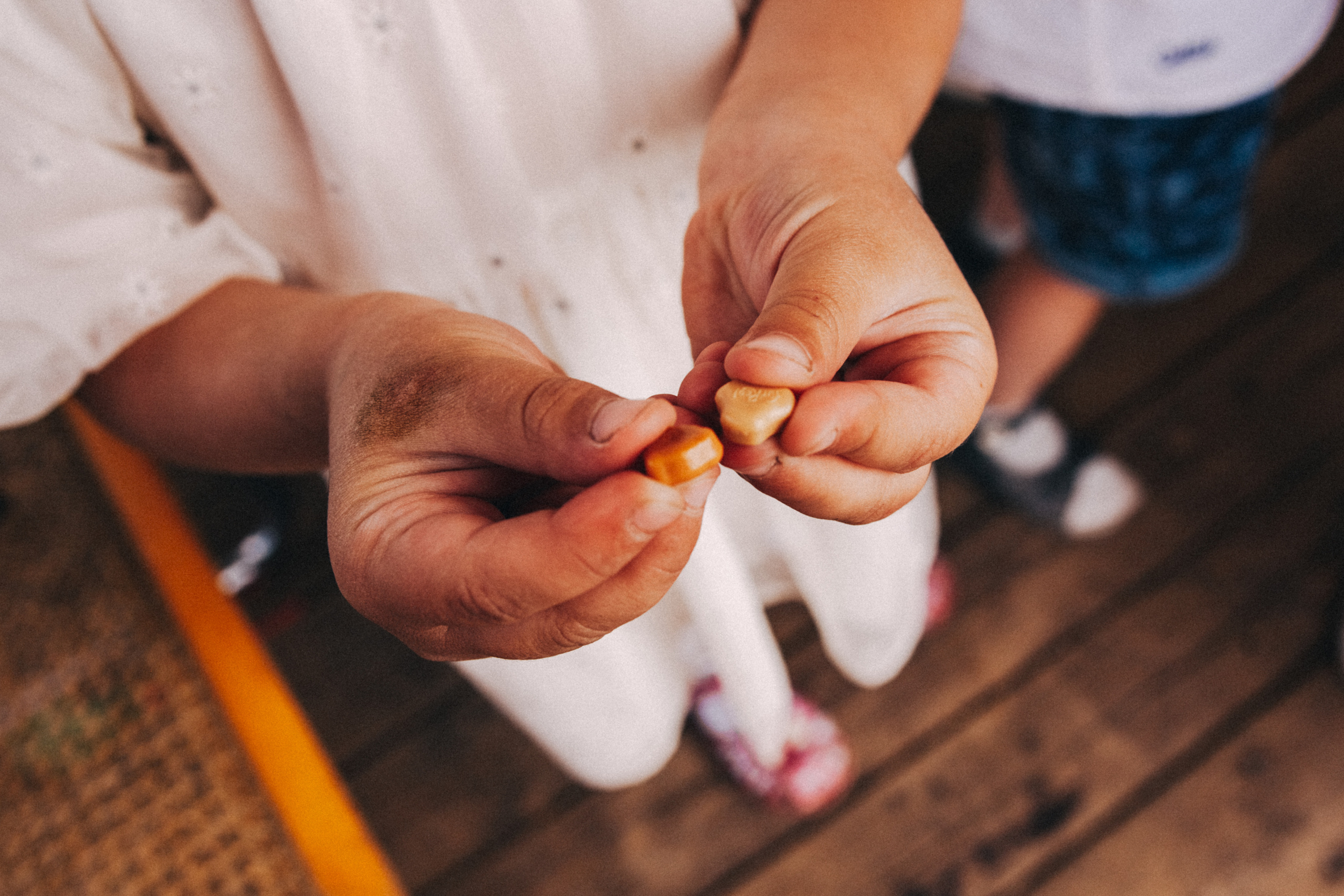 Есении 5 лет. ДР на даче. Семейный фотограф, фотограф родов, репортажей фотограф в Санкт-Петербу