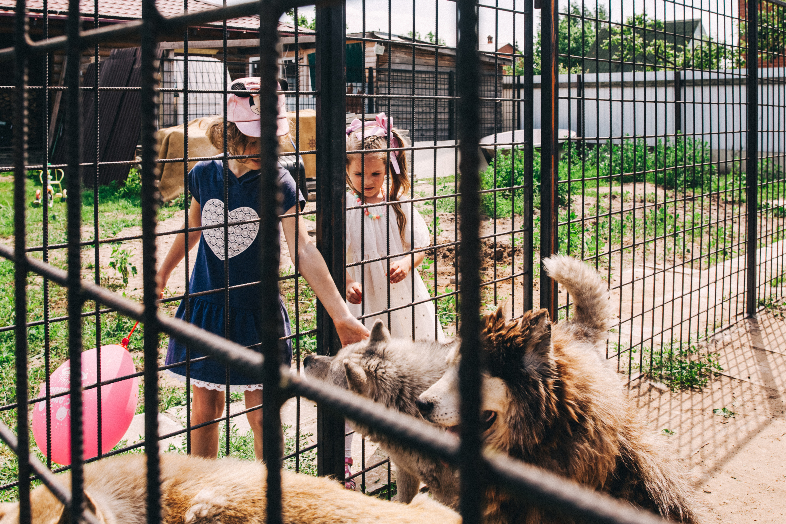 Есении 5 лет. ДР на даче. Семейный фотограф, фотограф родов, репортажей фотограф в Санкт-Петербу