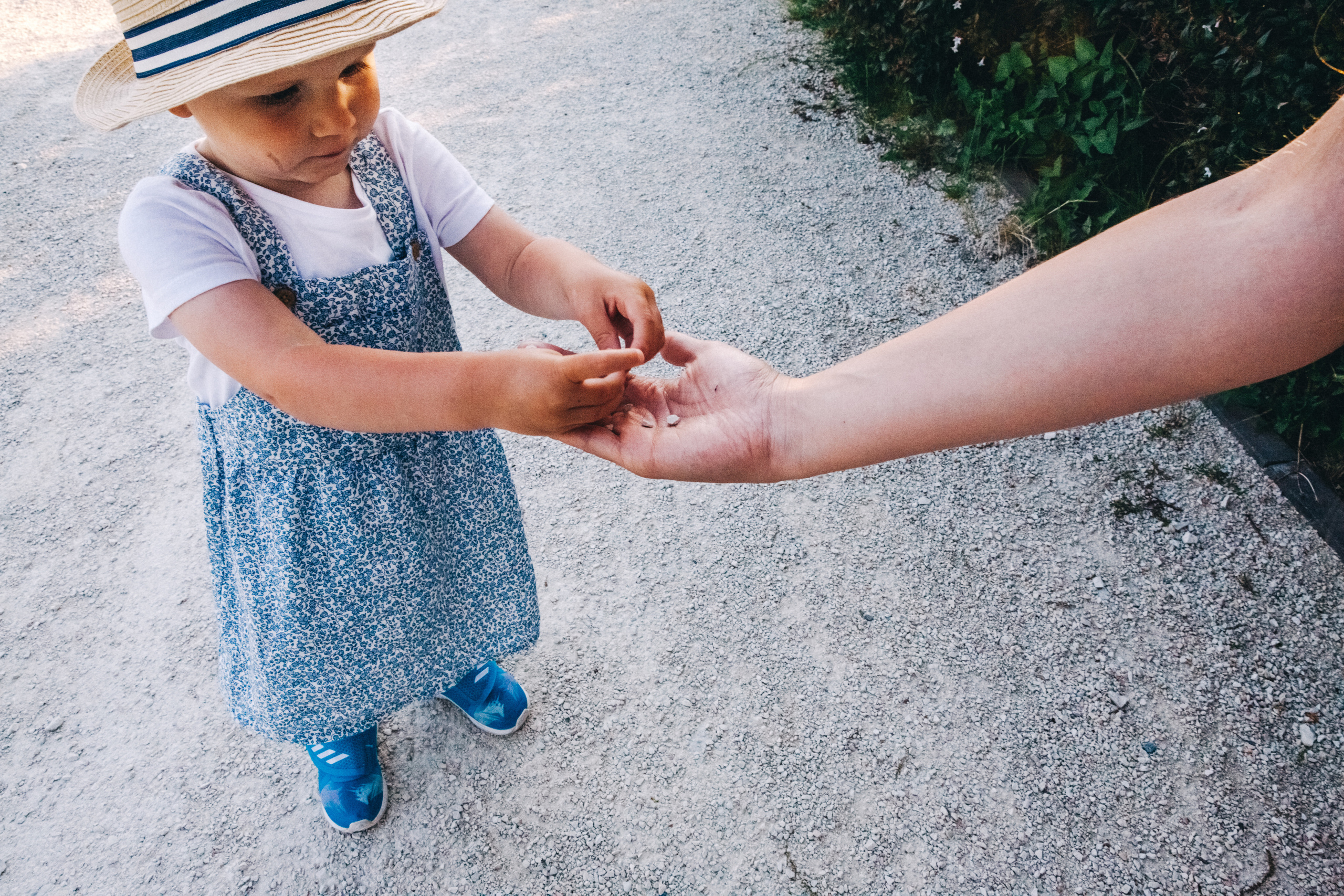 Вася, Маша, Соня. Отпуск в Адлере. Семейный фотограф, фотограф родов, репортажей фотограф в Санкт-Петербу