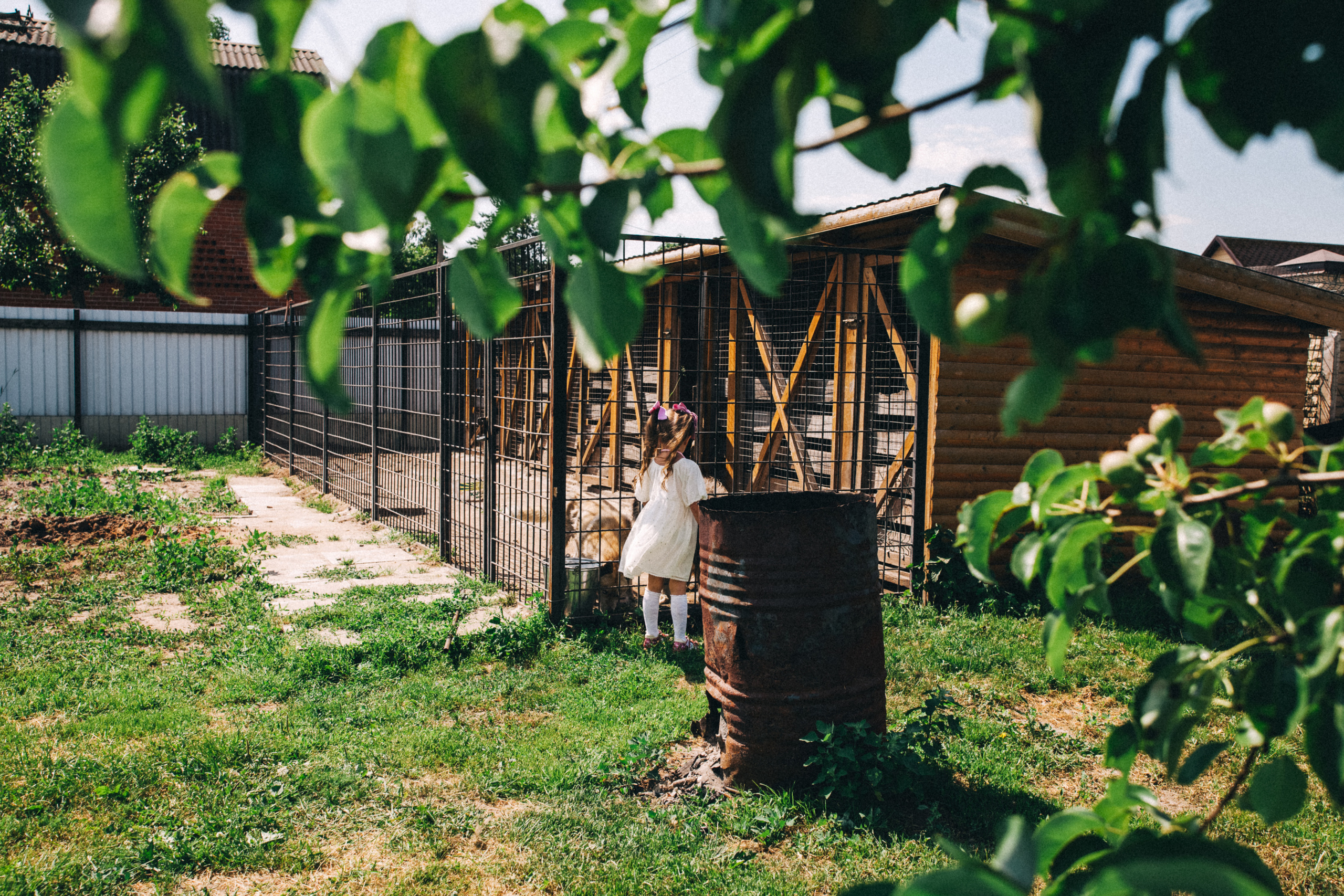 Есении 5 лет. ДР на даче. Семейный фотограф, фотограф родов, репортажей фотограф в Санкт-Петербу