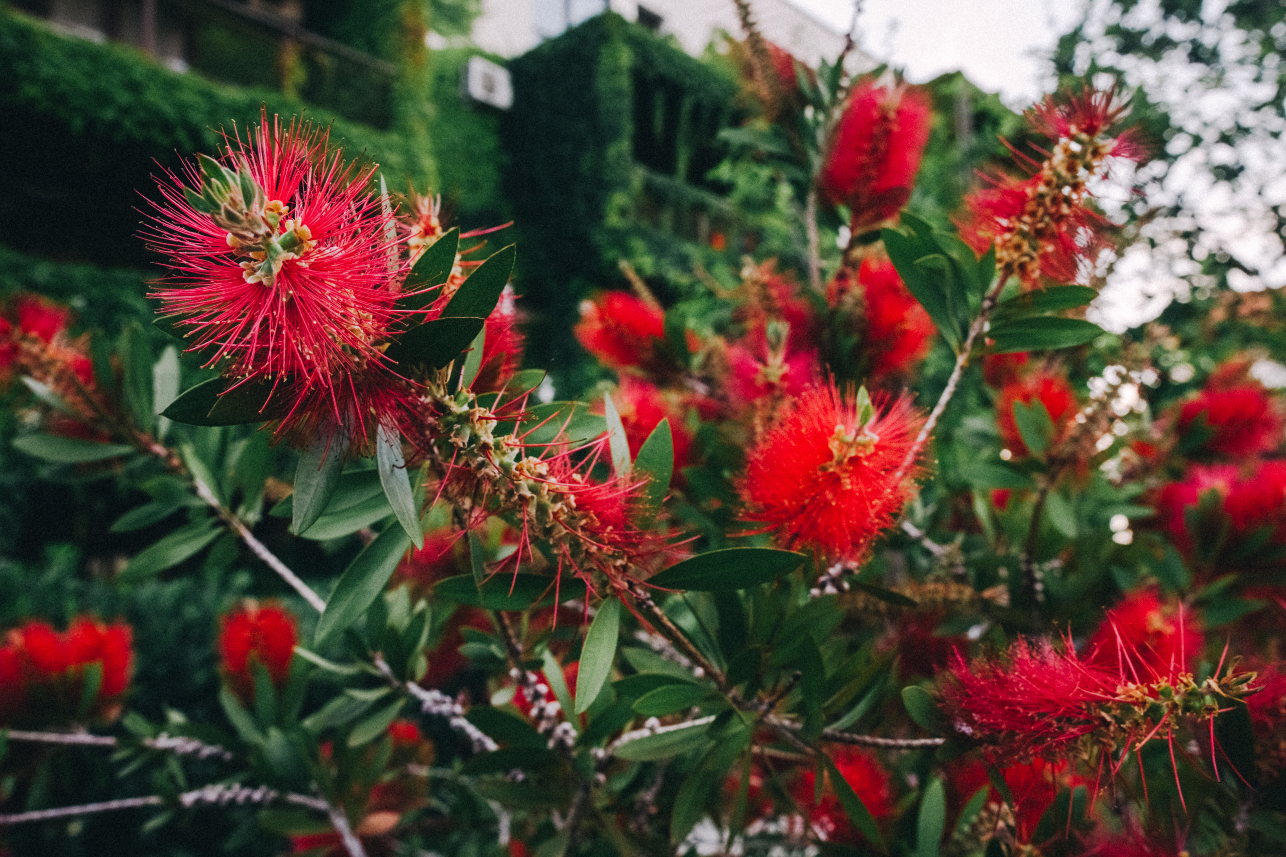 Вася, Маша, Соня. Отпуск в Адлере. Семейный фотограф, фотограф родов, репортажей фотограф в Санкт-Петербу