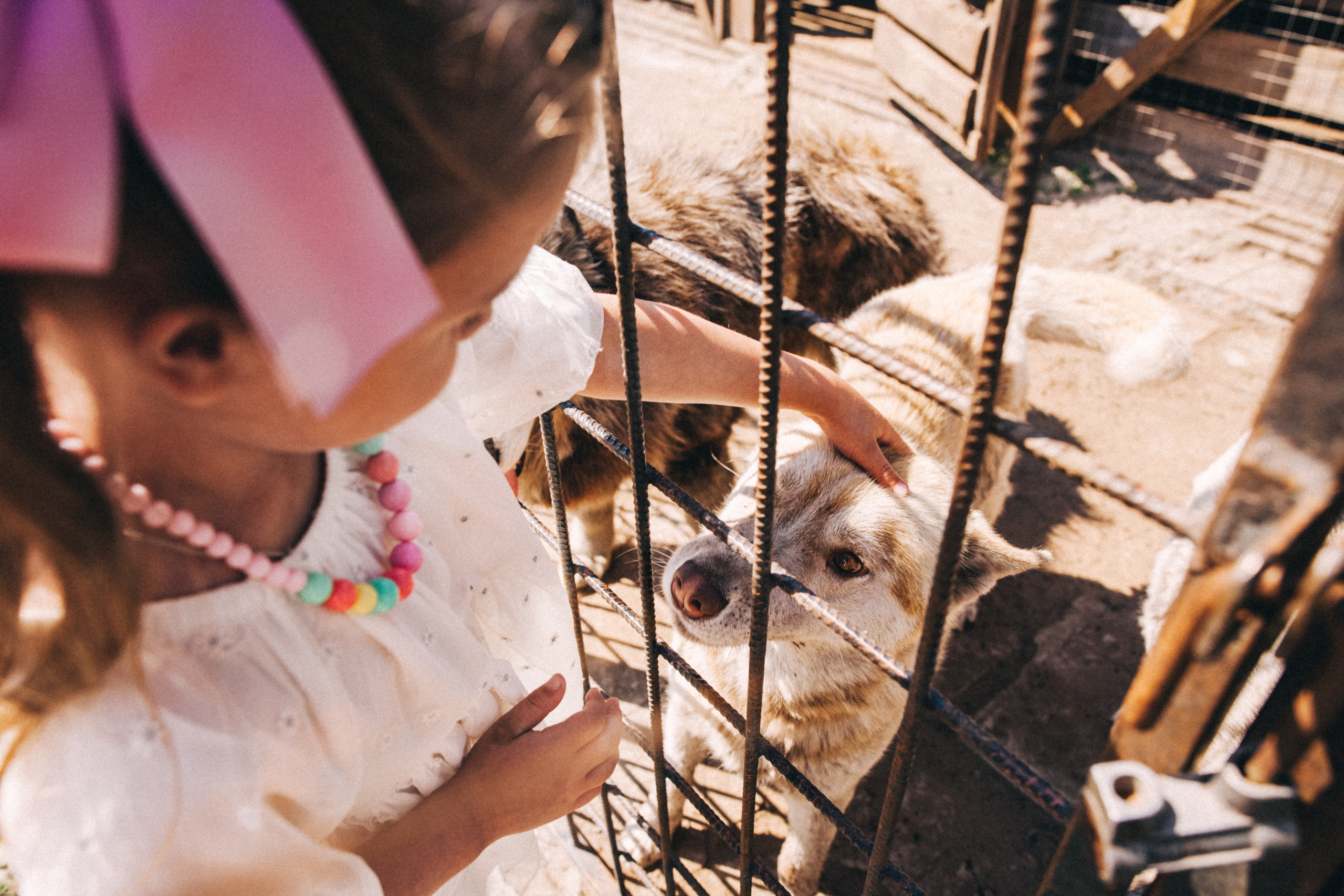 Есении 5 лет. ДР на даче. Семейный фотограф, фотограф родов, репортажей фотограф в Санкт-Петербу